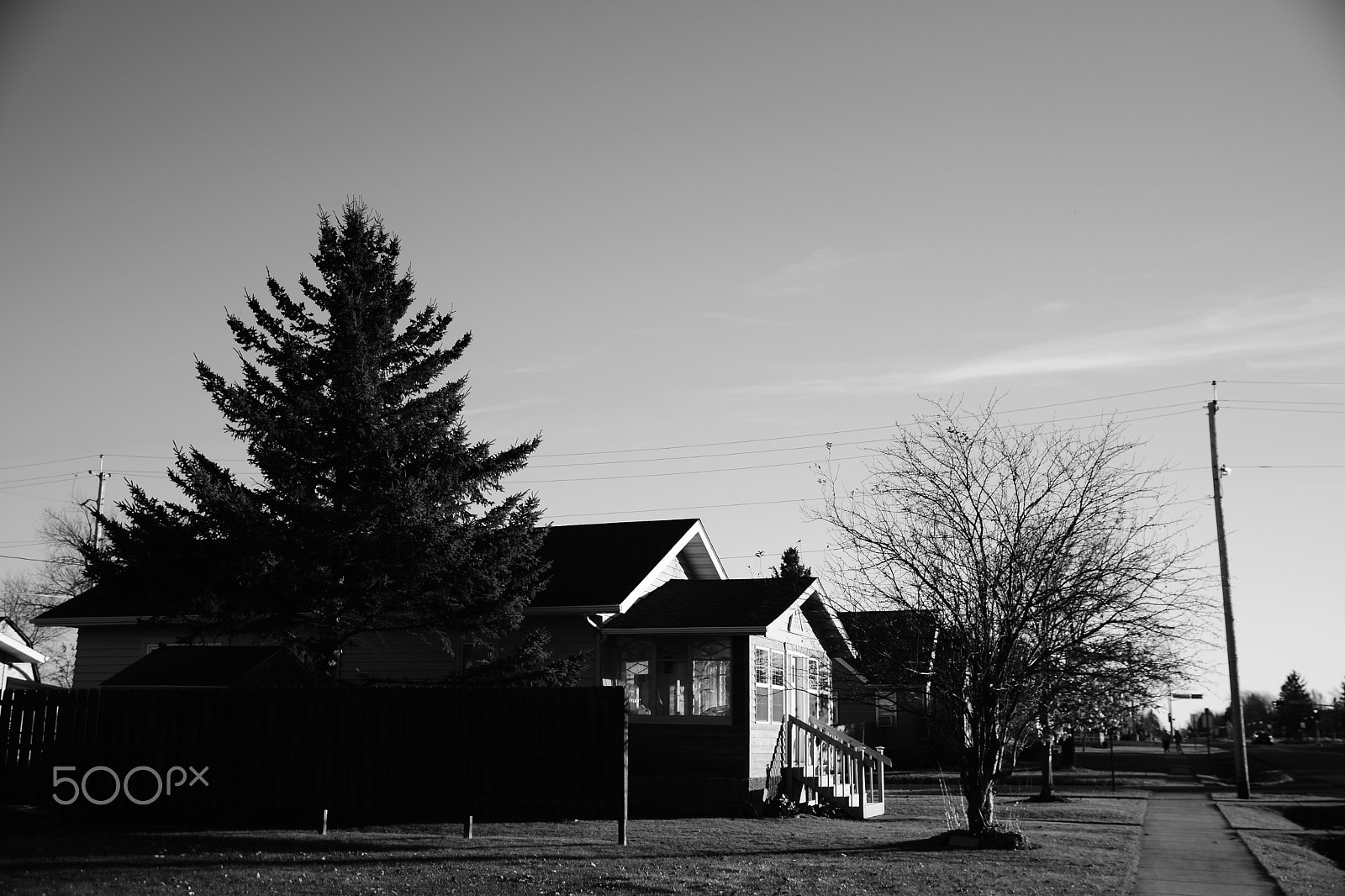 Sigma 17-70mm F2.8-4 DC Macro OS HSM | C sample photo. House and trees photography