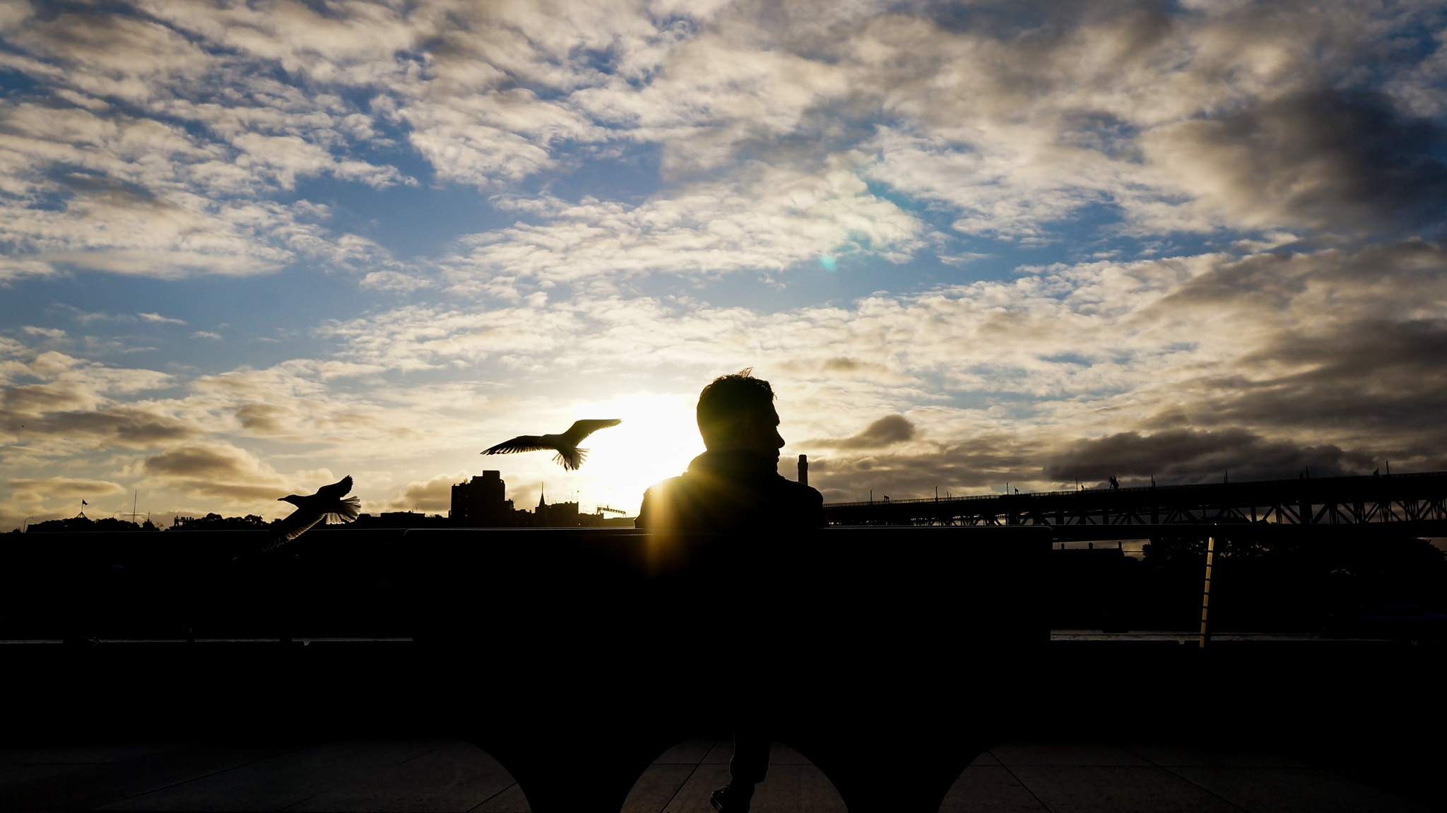 Sony Alpha NEX-5N + Sigma 19mm F2.8 EX DN sample photo. Bird man photography