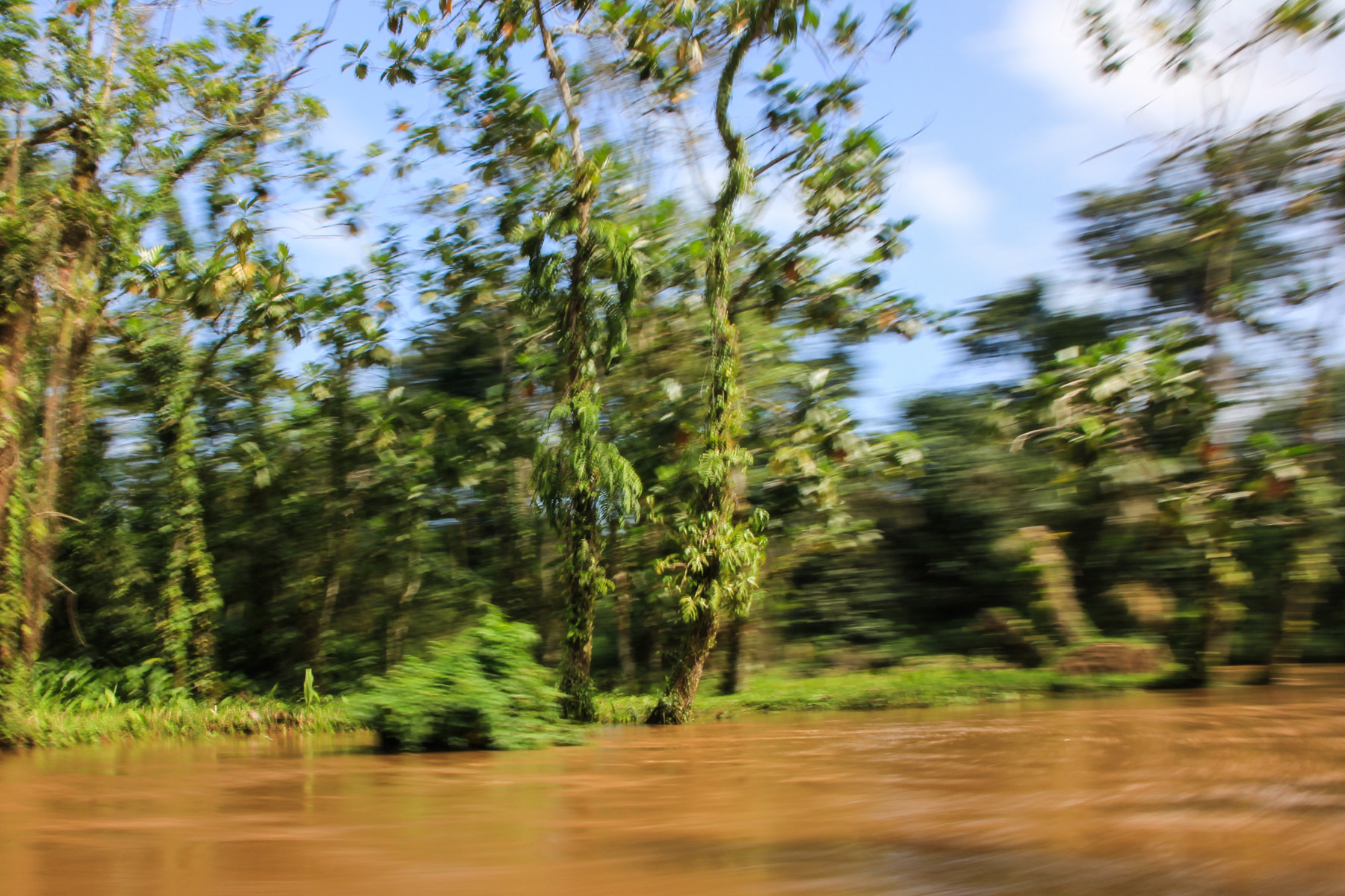 Sigma 17-70mm F2.8-4 DC Macro OS HSM sample photo. Move in the river photography
