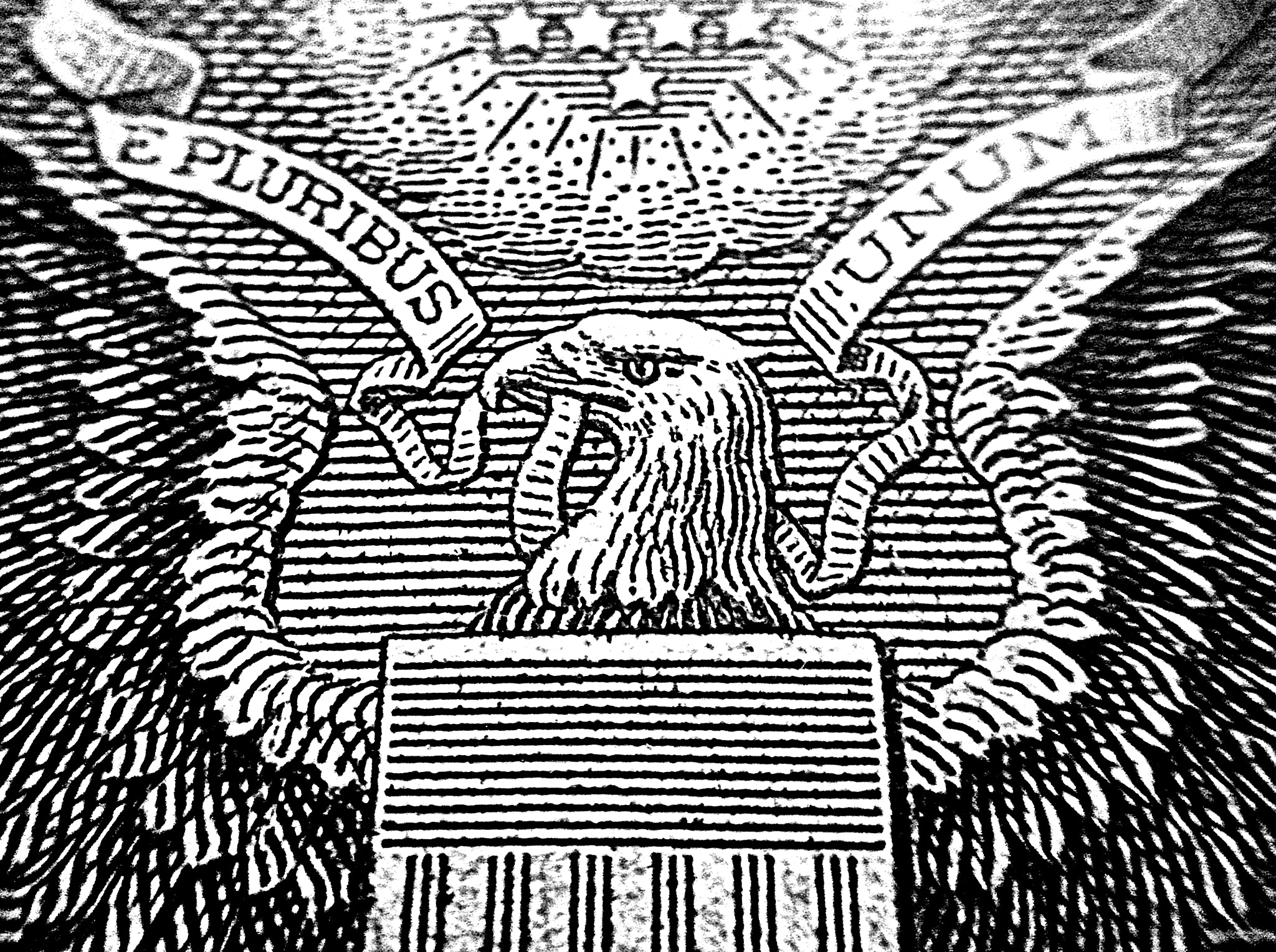 LG OPTIMUS L5 II sample photo. Eagle of one dollar. photography
