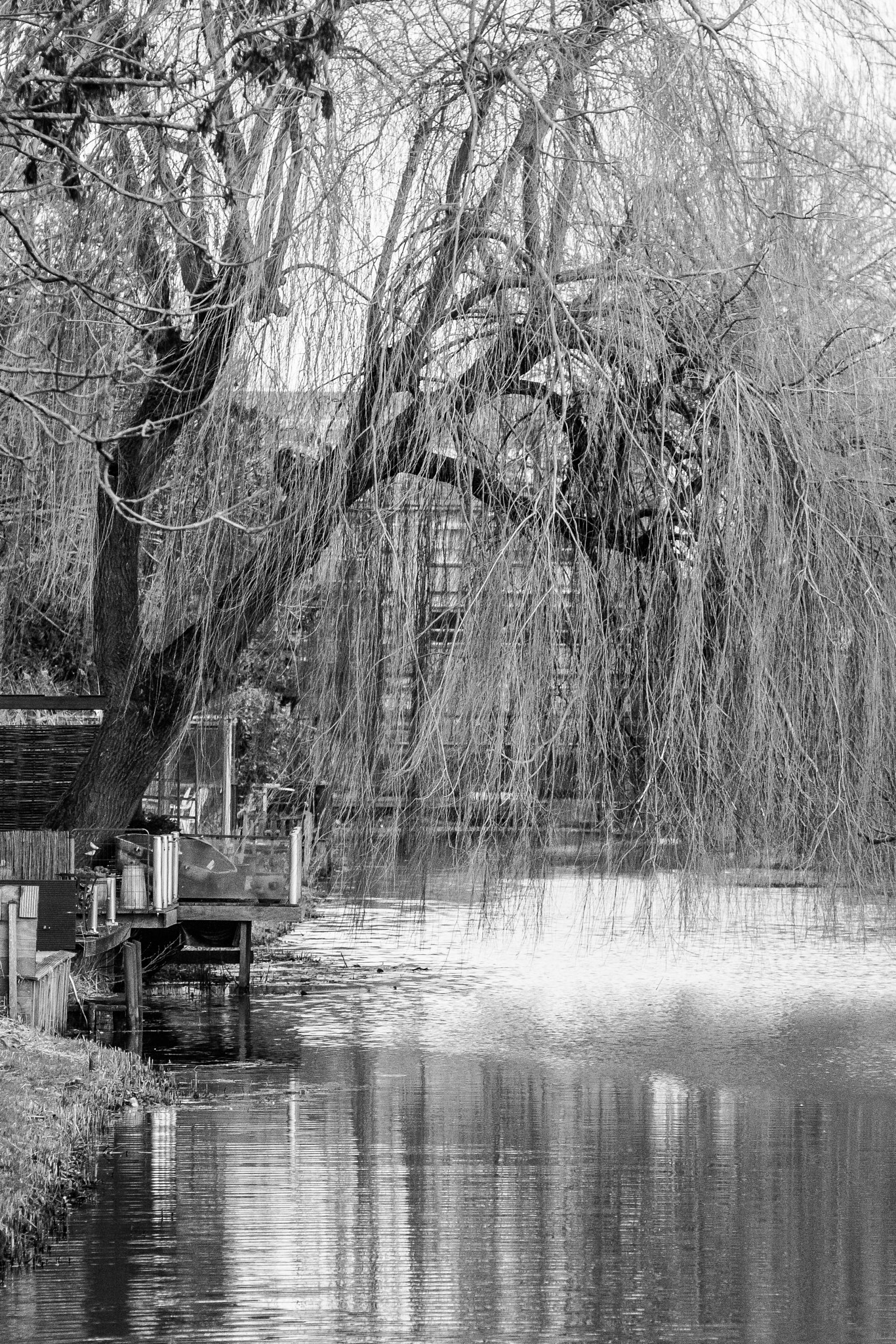 Canon EOS 40D + Canon EF 135mm F2.8 SF sample photo. Scenery. photography