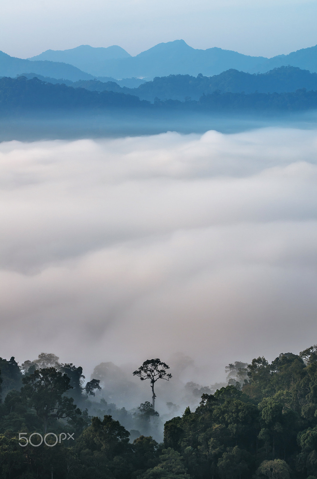 Pentax K-5 IIs sample photo. Beautiful scenary of mist with mountain range at p photography