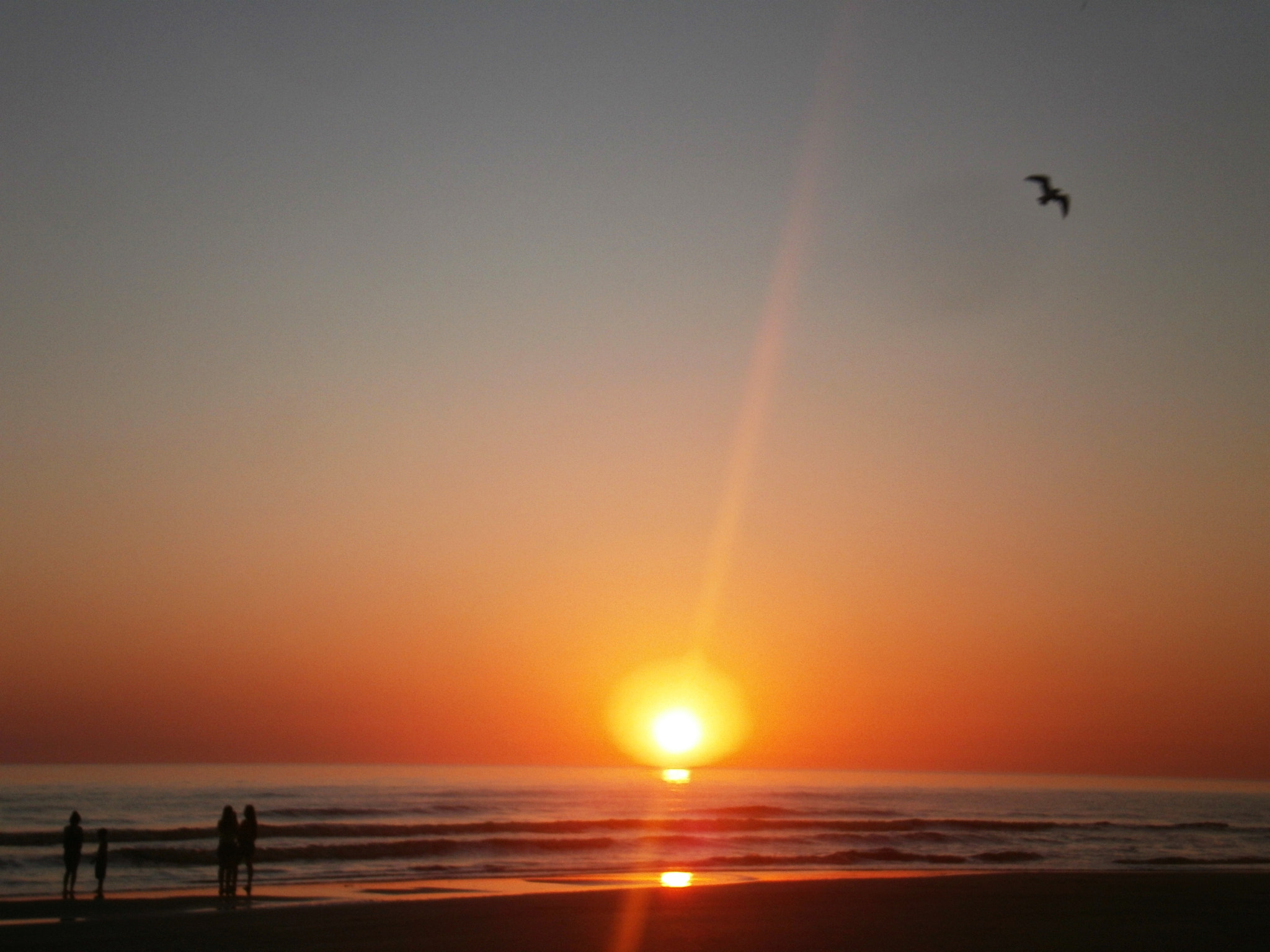 Olympus FE4020,X940 sample photo. San clemente. photography
