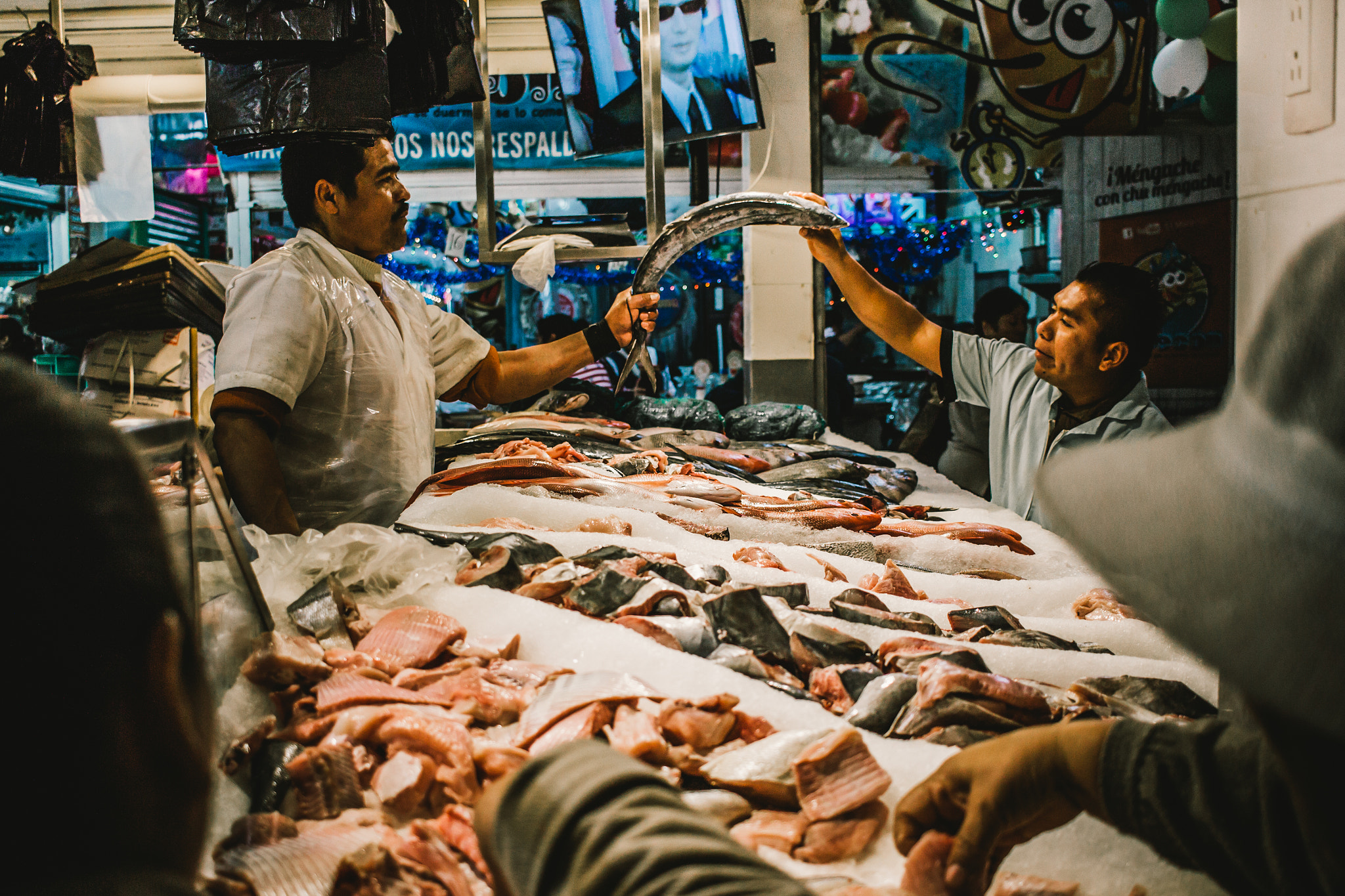 Canon EF-S 24mm F2.8 STM sample photo. Buying fresh fish for christmas dinner photography