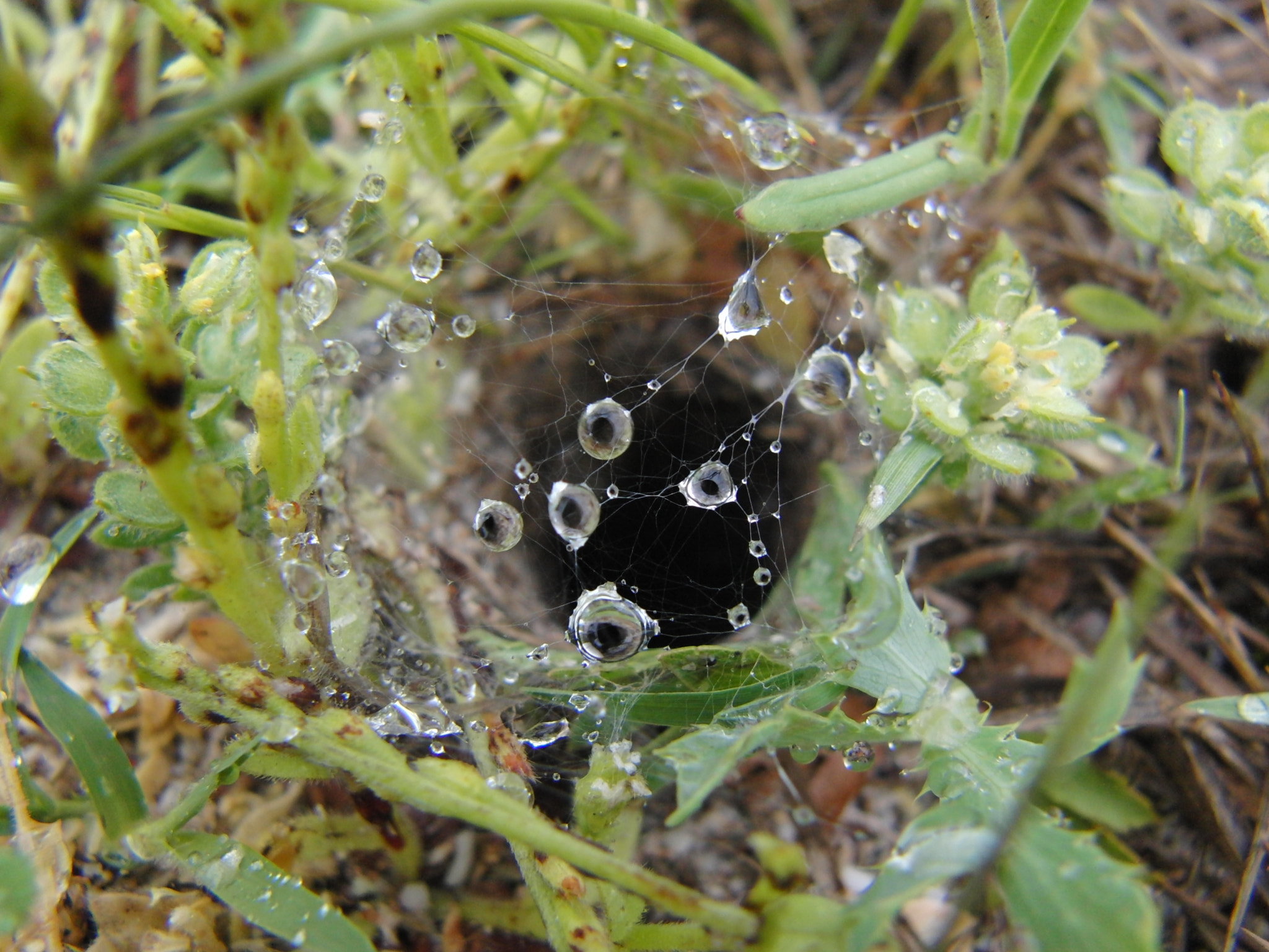 CASIO EX-F1 sample photo. Water drops photography