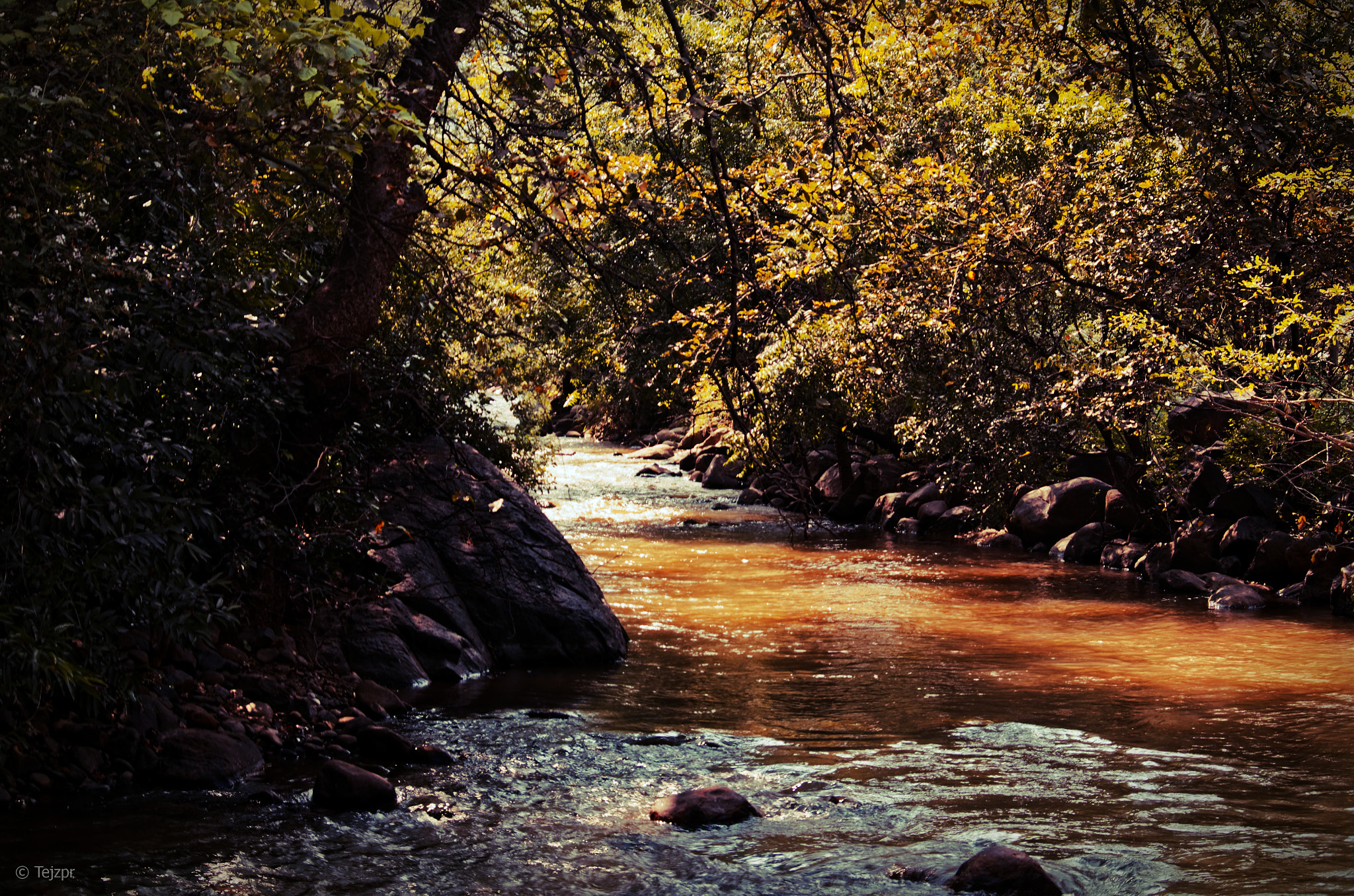 smc PENTAX-DA L 50-200mm F4-5.6 ED sample photo. A stream in the forest photography