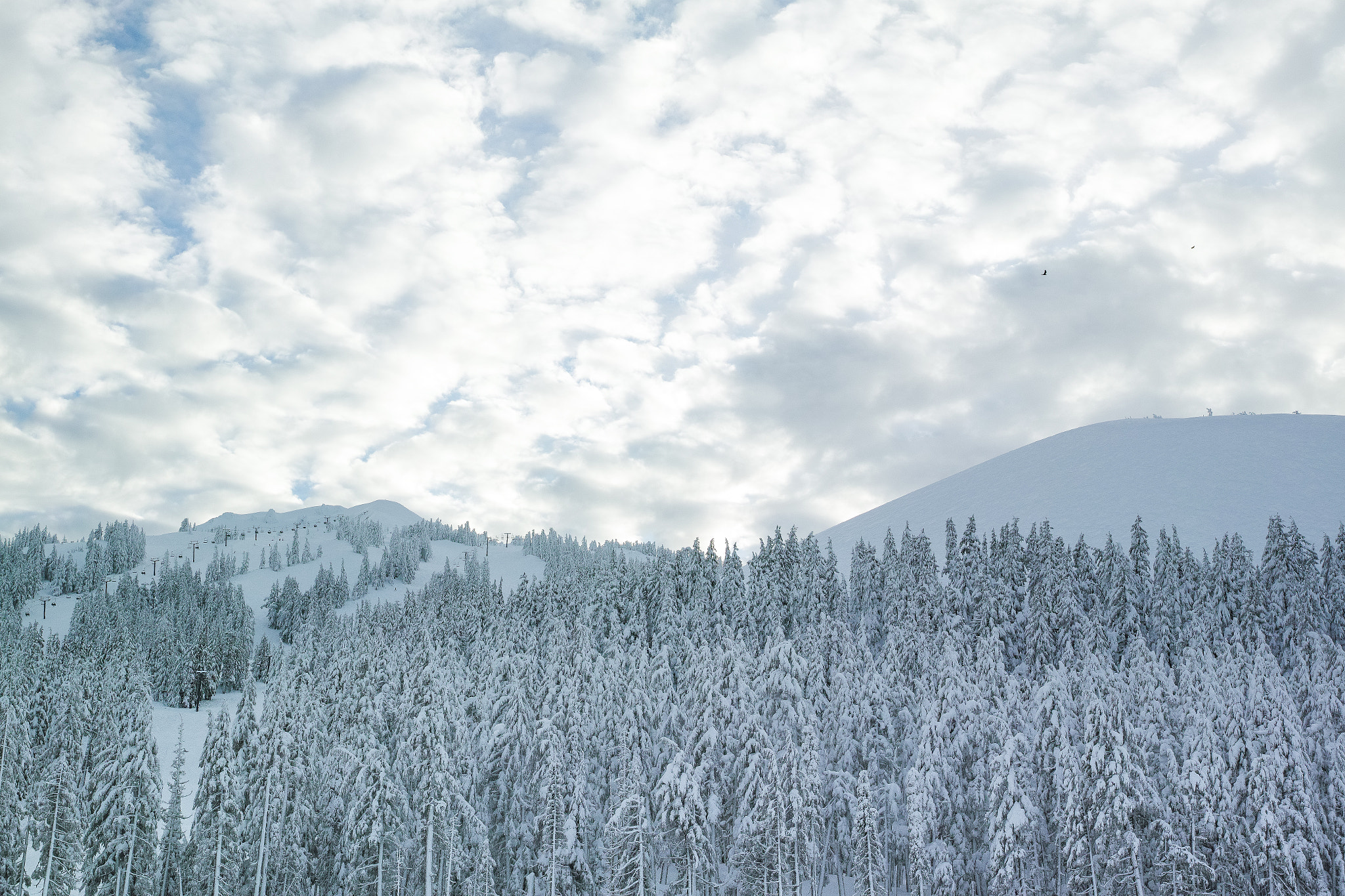 1007 sample photo. Cool winter sky photography