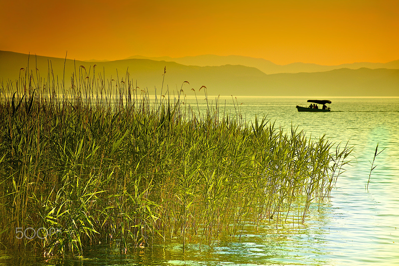 Canon EF 75-300mm f/4-5.6 USM sample photo. Reeds at dusk photography