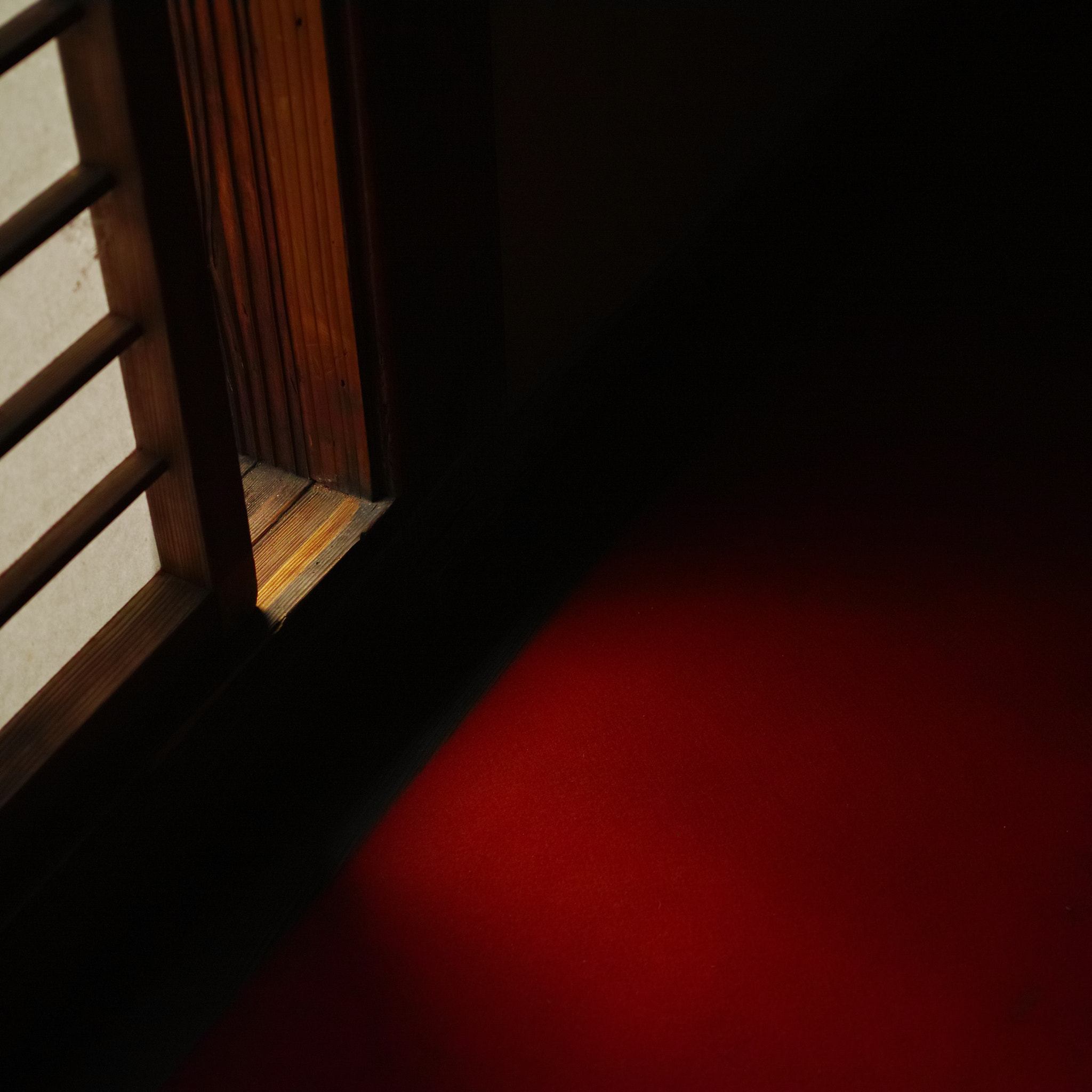 Sigma dp2 Quattro + 1007 sample photo. Aperture photography