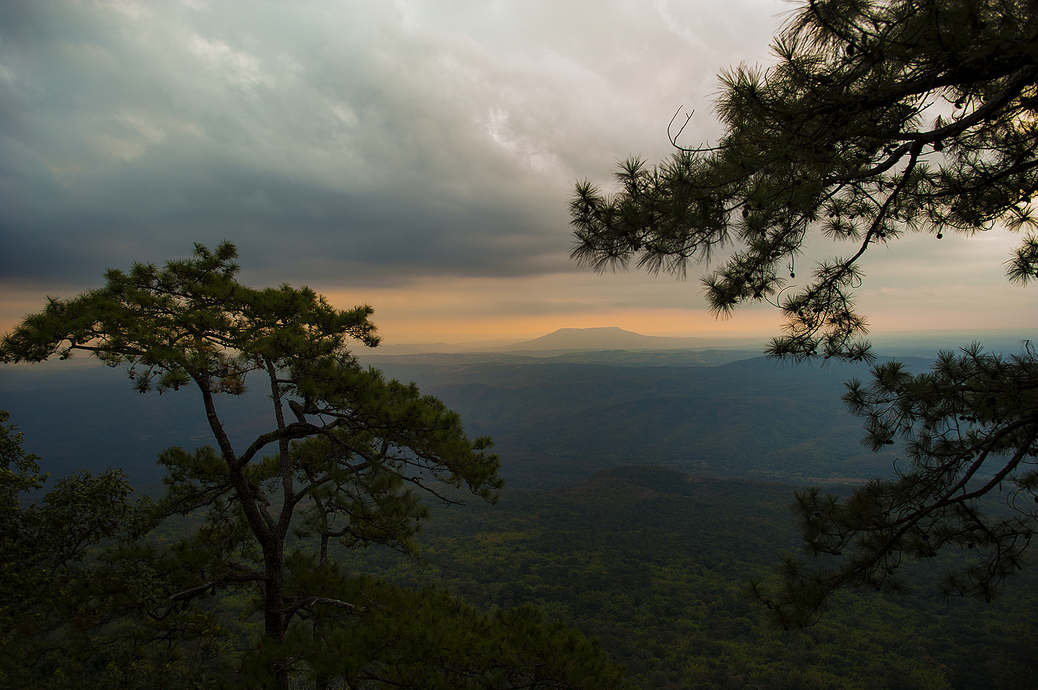 Nikon D700 + Nikon AF-S Nikkor 24mm F1.4G ED sample photo. Phukradung photography
