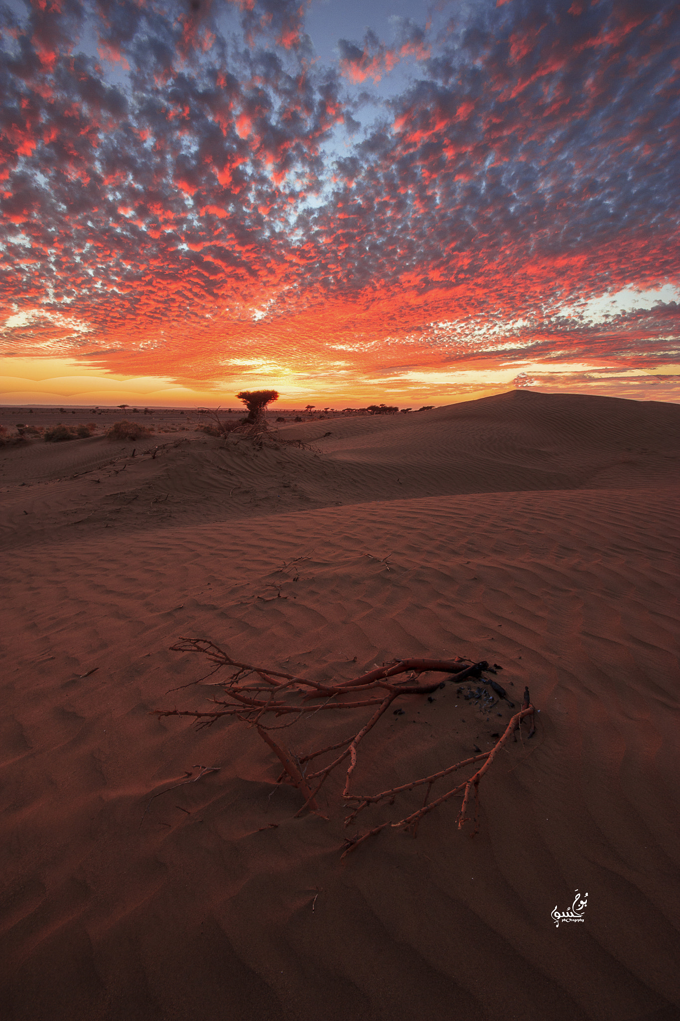 Sigma 10-20mm F4-5.6 EX DC HSM sample photo. Red sunset photography