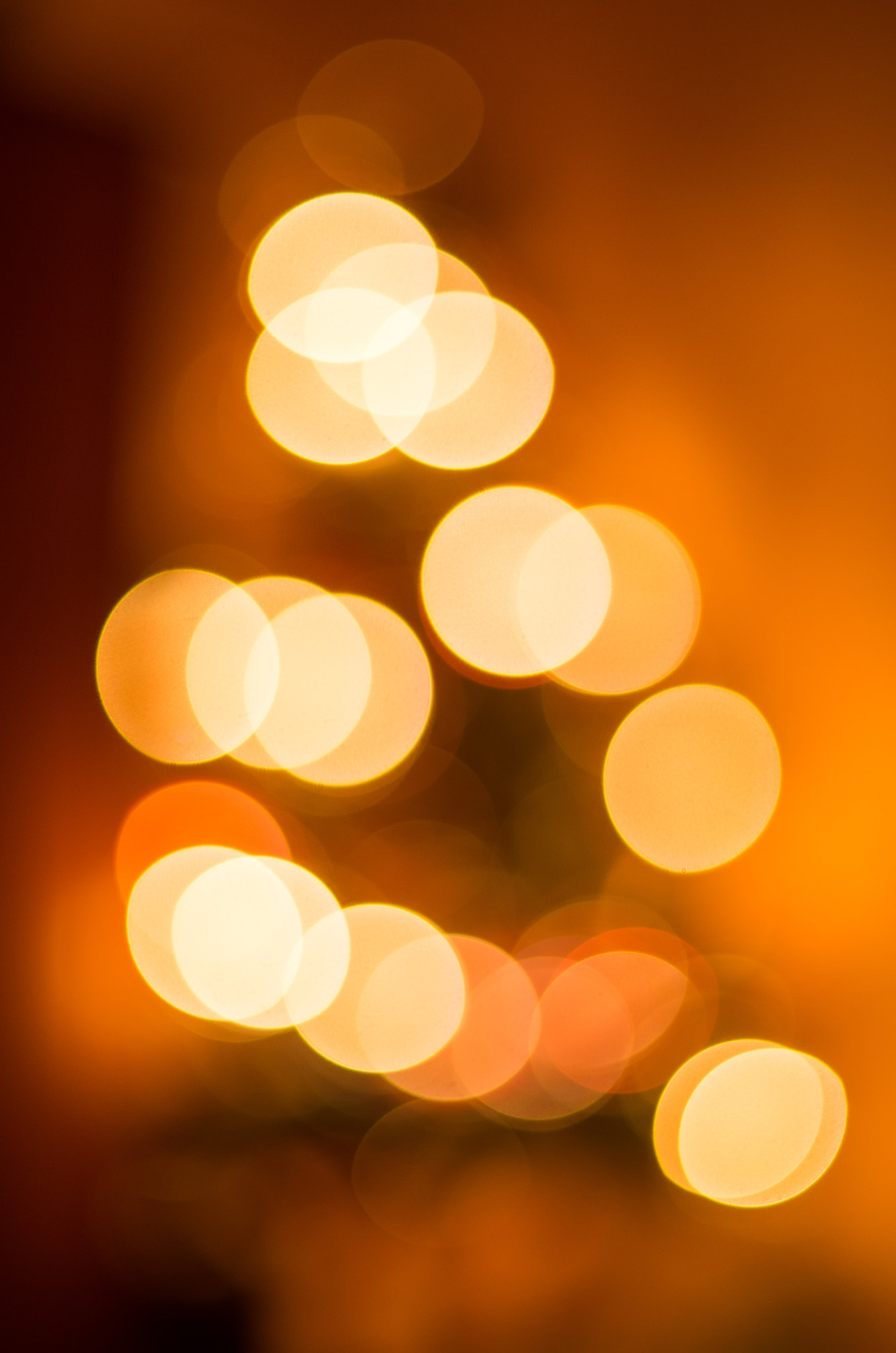 Pentax K-50 sample photo. Christmas bokeh photography