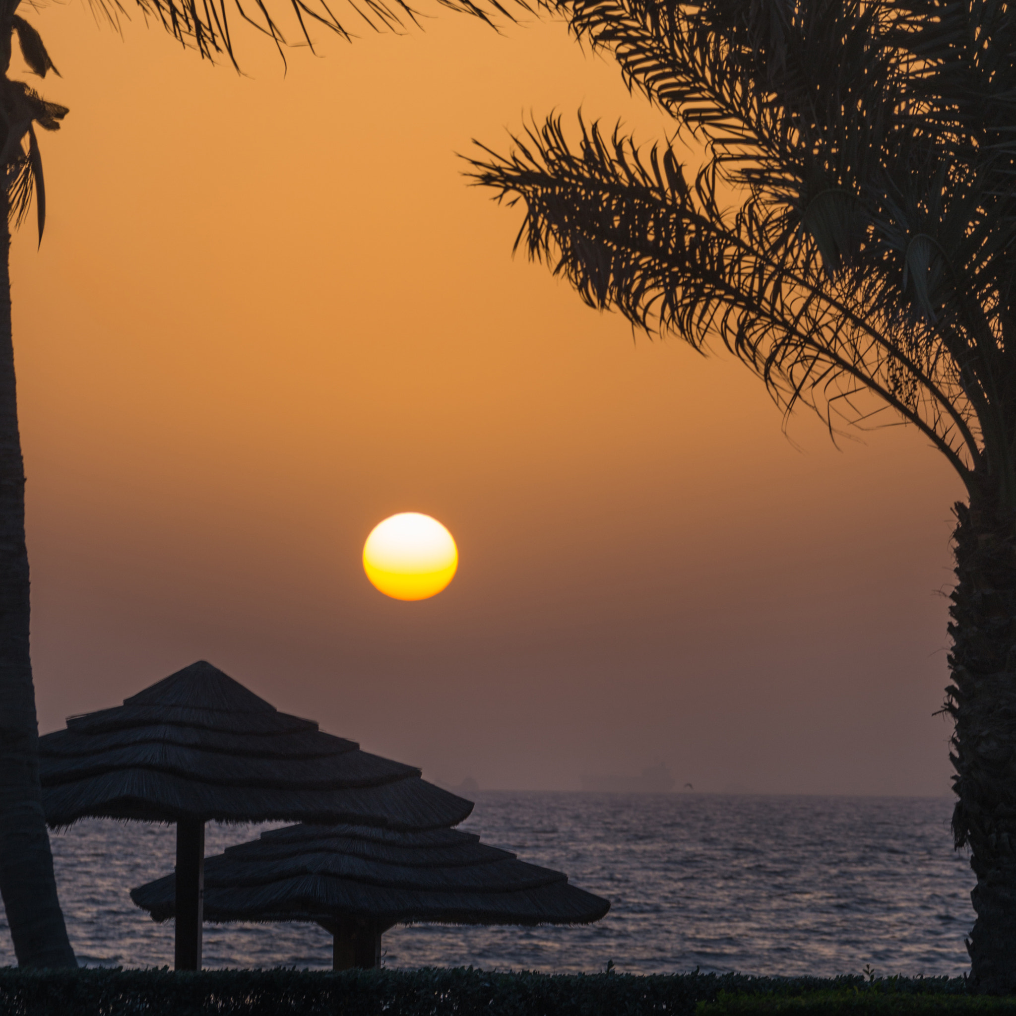 Sony 70-300mm F4.5-5.6 G SSM sample photo. Ajman sunsets photography