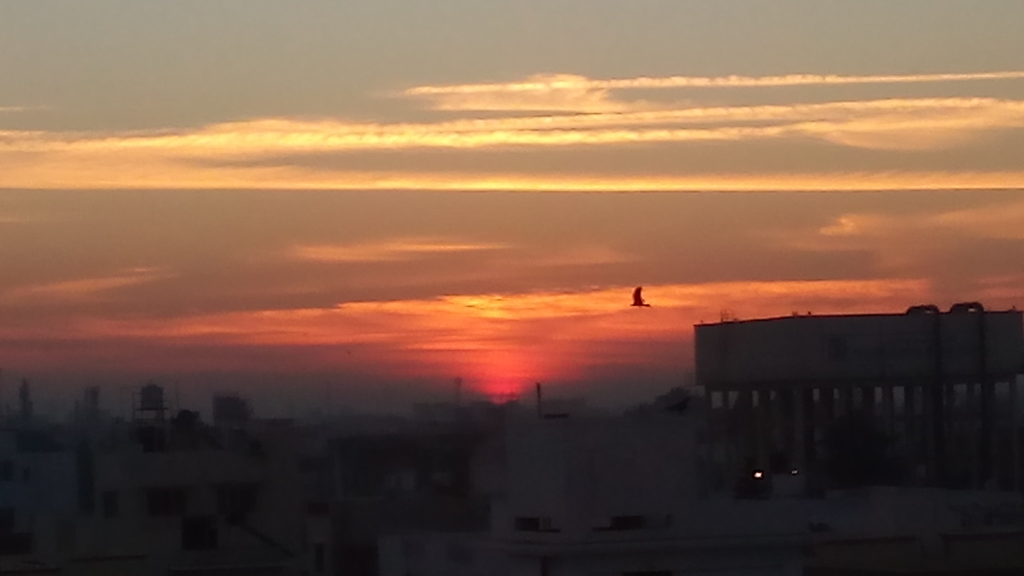 Micromax Canvas Spark sample photo