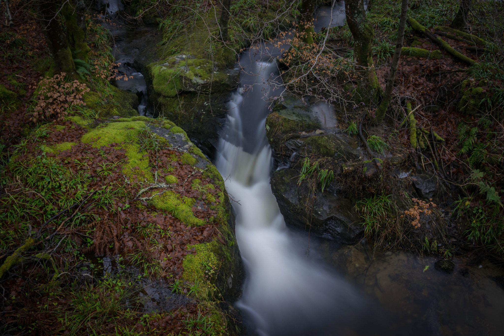 Sony ILCA-77M2 sample photo. `baby of the dochart' photography