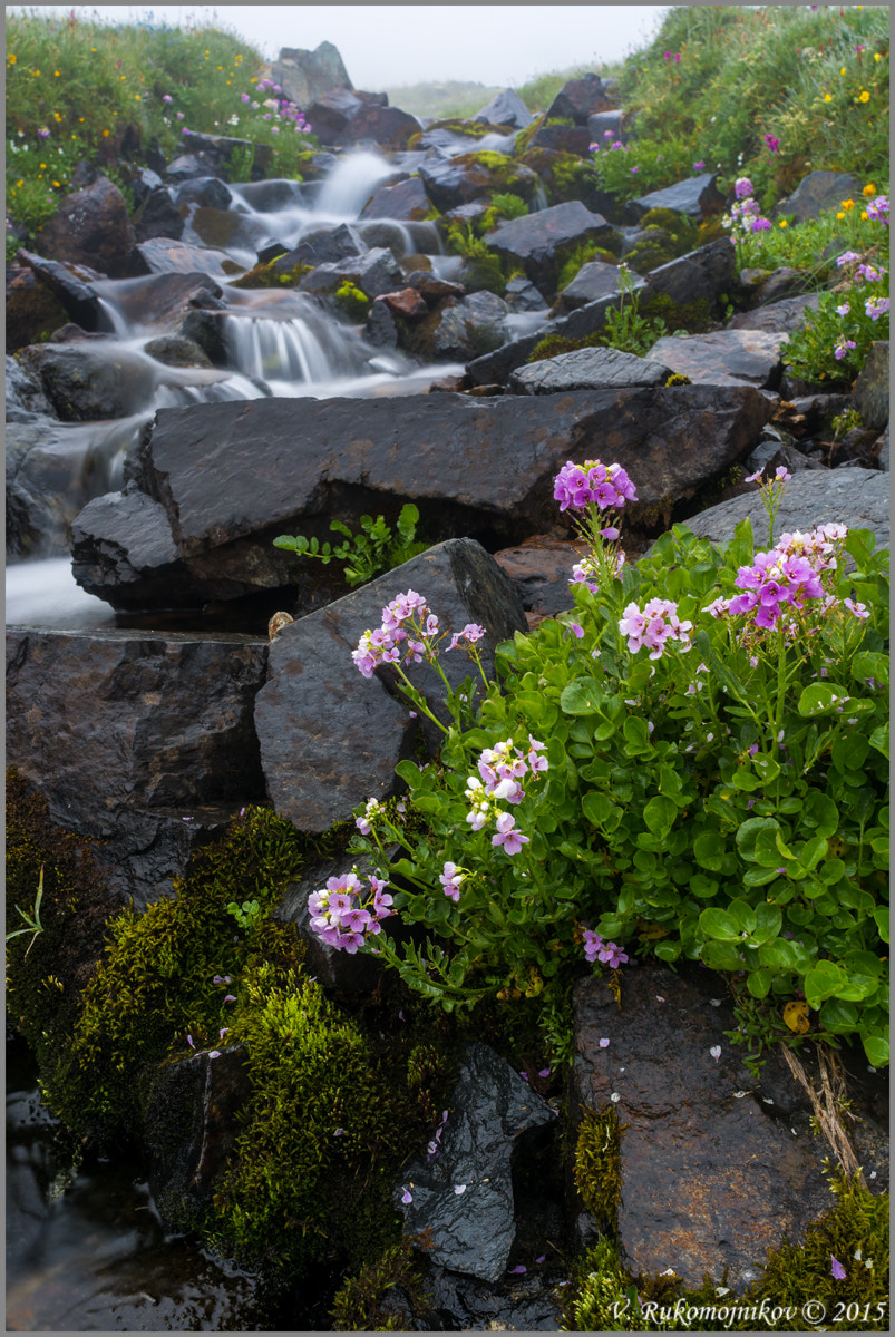 Nikon D7100 + Nikon AF Nikkor 20mm F2.8D sample photo. Caucasian streams 2 photography