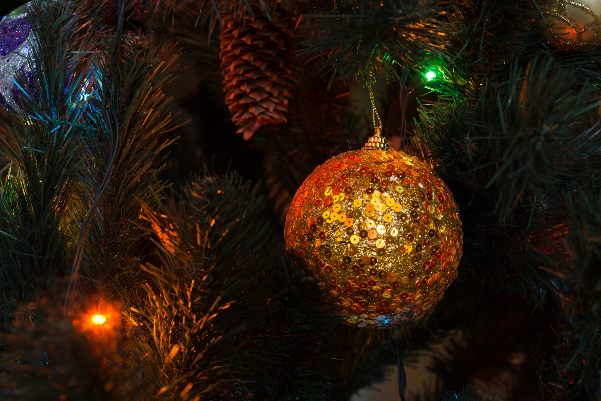 Sony SLT-A77 + Sony DT 35mm F1.8 SAM sample photo. Christmas tree photography