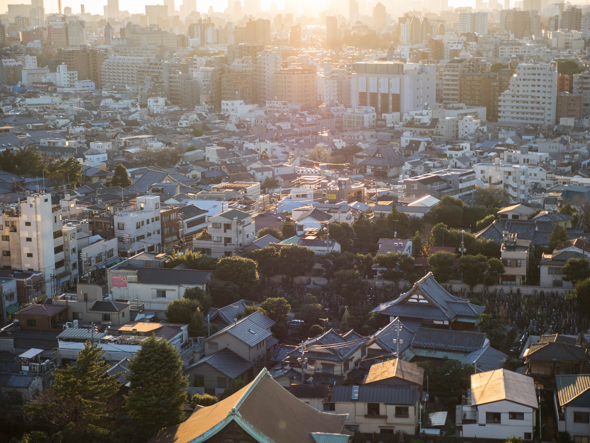 Panasonic Lumix G X Vario 12-35mm F2.8 ASPH Power OIS sample photo. Tokyo skyline photography