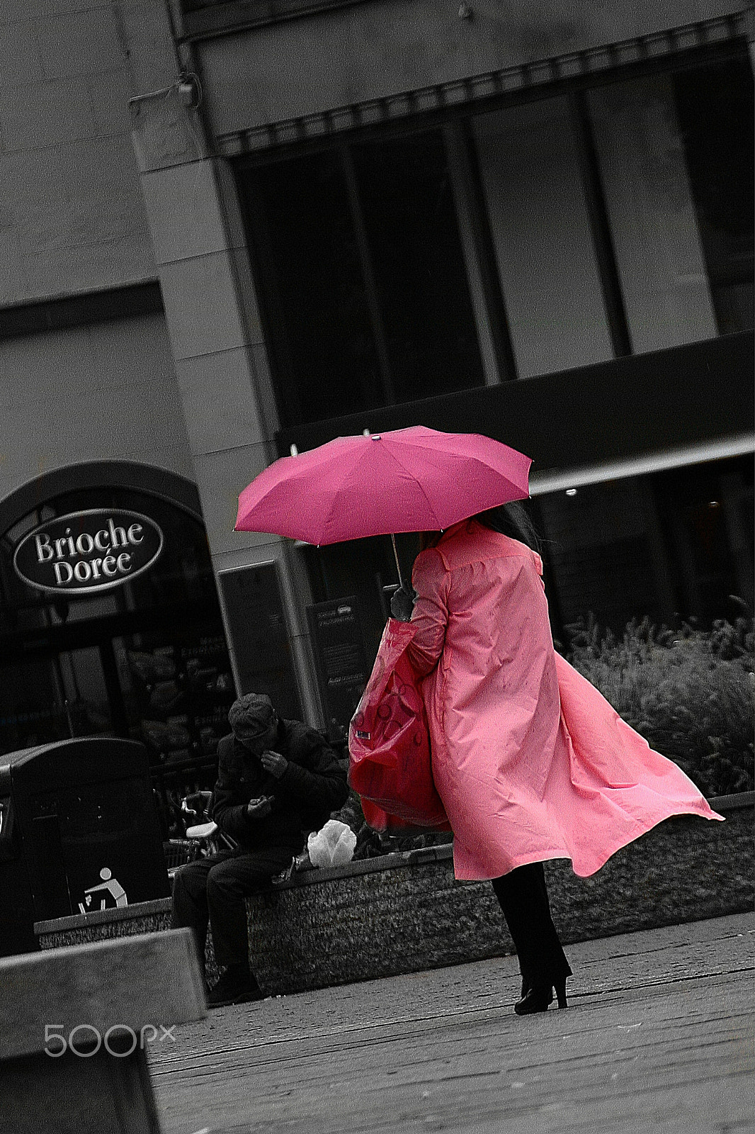 Canon EOS 1000D (EOS Digital Rebel XS / EOS Kiss F) sample photo. Pink lady photography