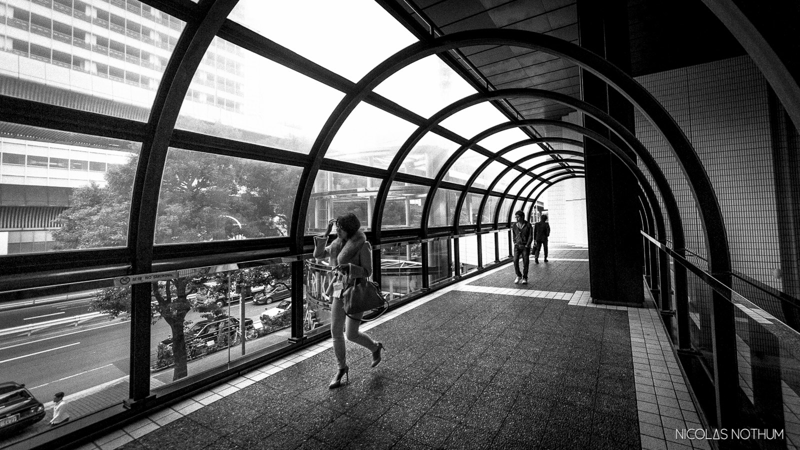 Sigma 12-24mm F4.5-5.6 II DG HSM sample photo. () photography