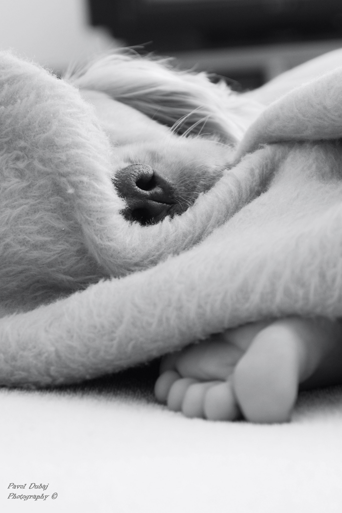 AF Zoom-Nikkor 28-80mm f/3.3-5.6G sample photo. Feet and nose :-) photography