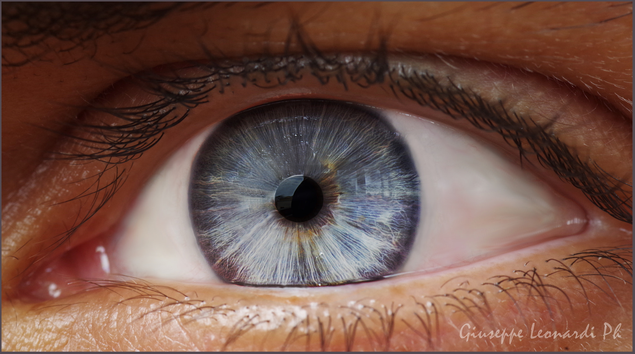 Pentax K-30 + Tamron SP AF 90mm F2.8 Di Macro sample photo. Blueyes photography