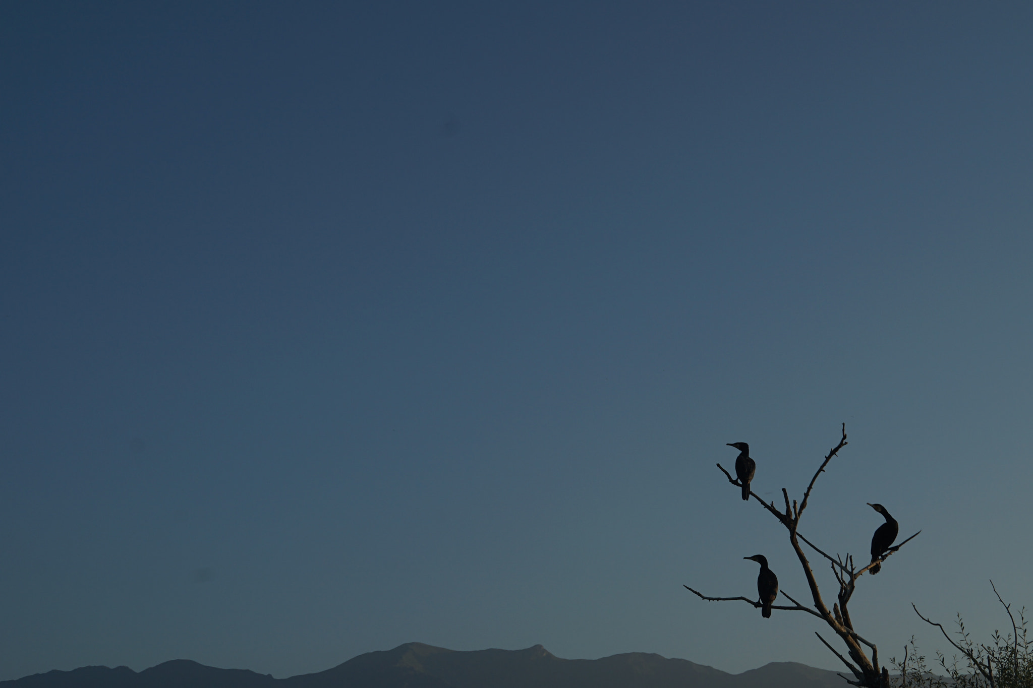 Sony E 18-55mm F3.5-5.6 OSS sample photo. Life by the lake photography