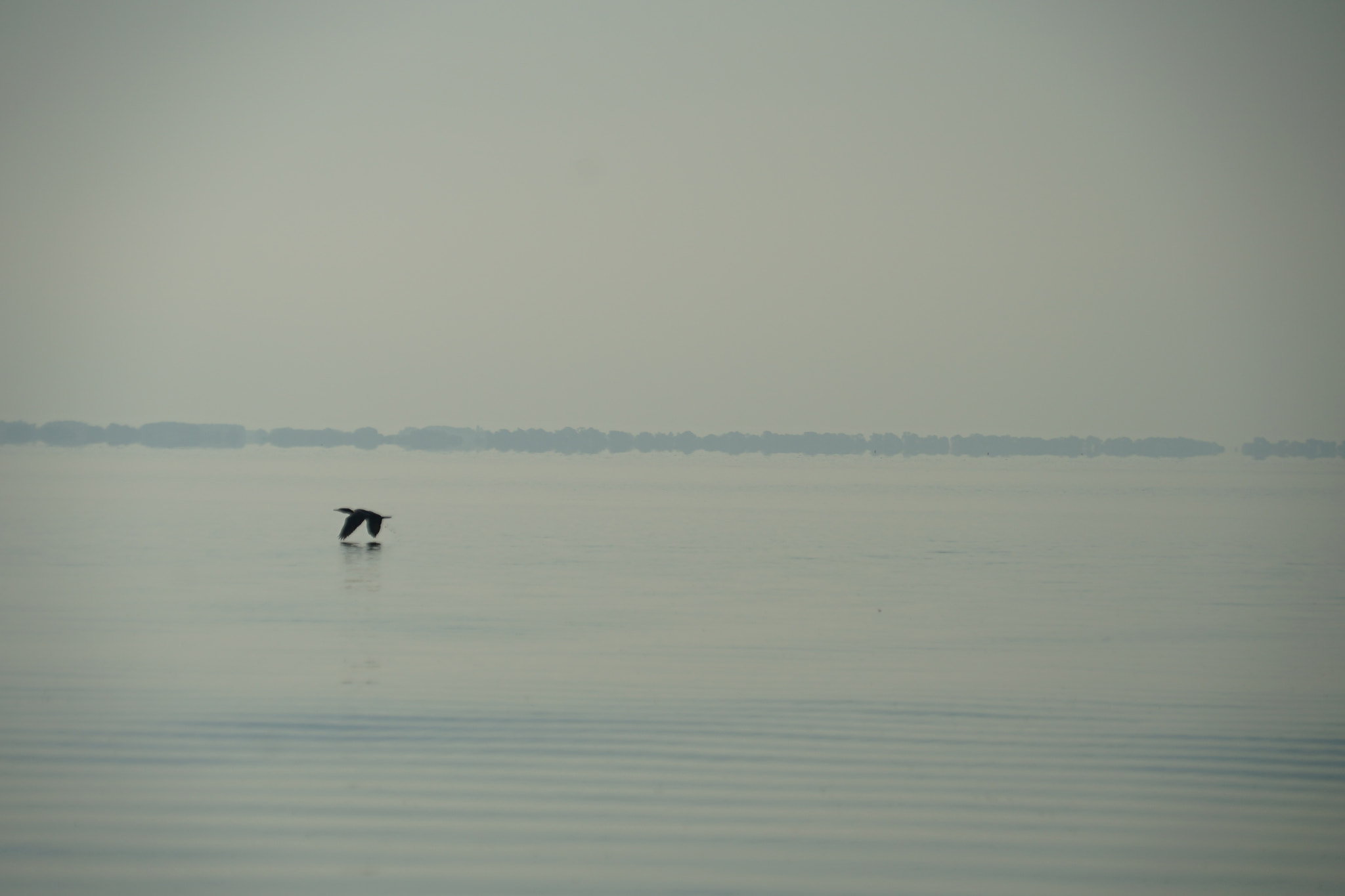 Sony E 18-200mm F3.5-6.3 OSS sample photo. Life by the lake photography