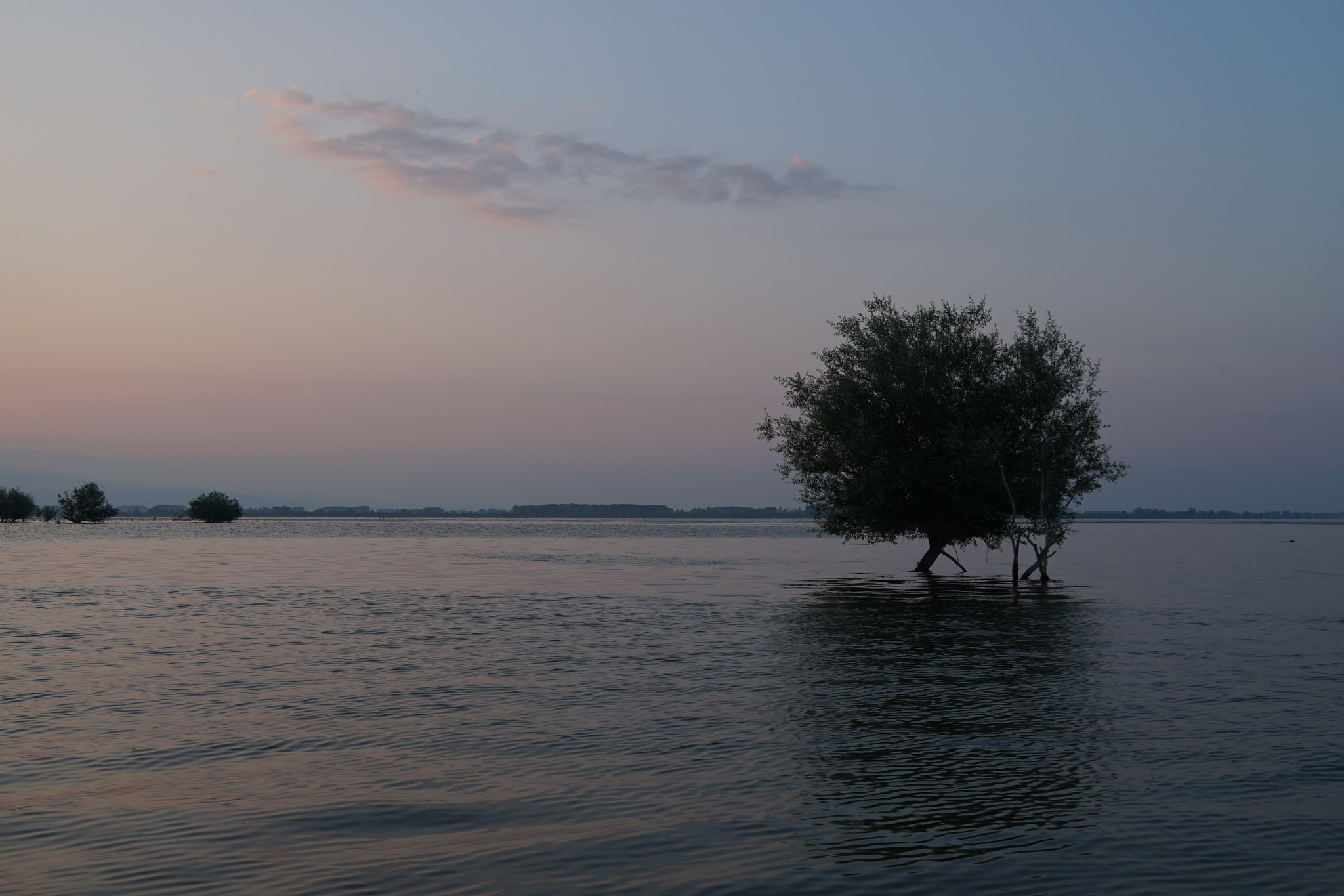 Sony E 18-200mm F3.5-6.3 OSS sample photo. Life by the lake photography