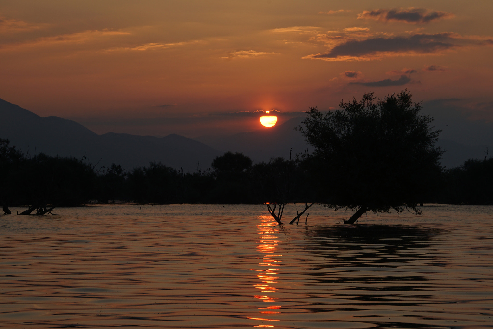 Sony E 18-200mm F3.5-6.3 OSS sample photo. Life by the lake photography