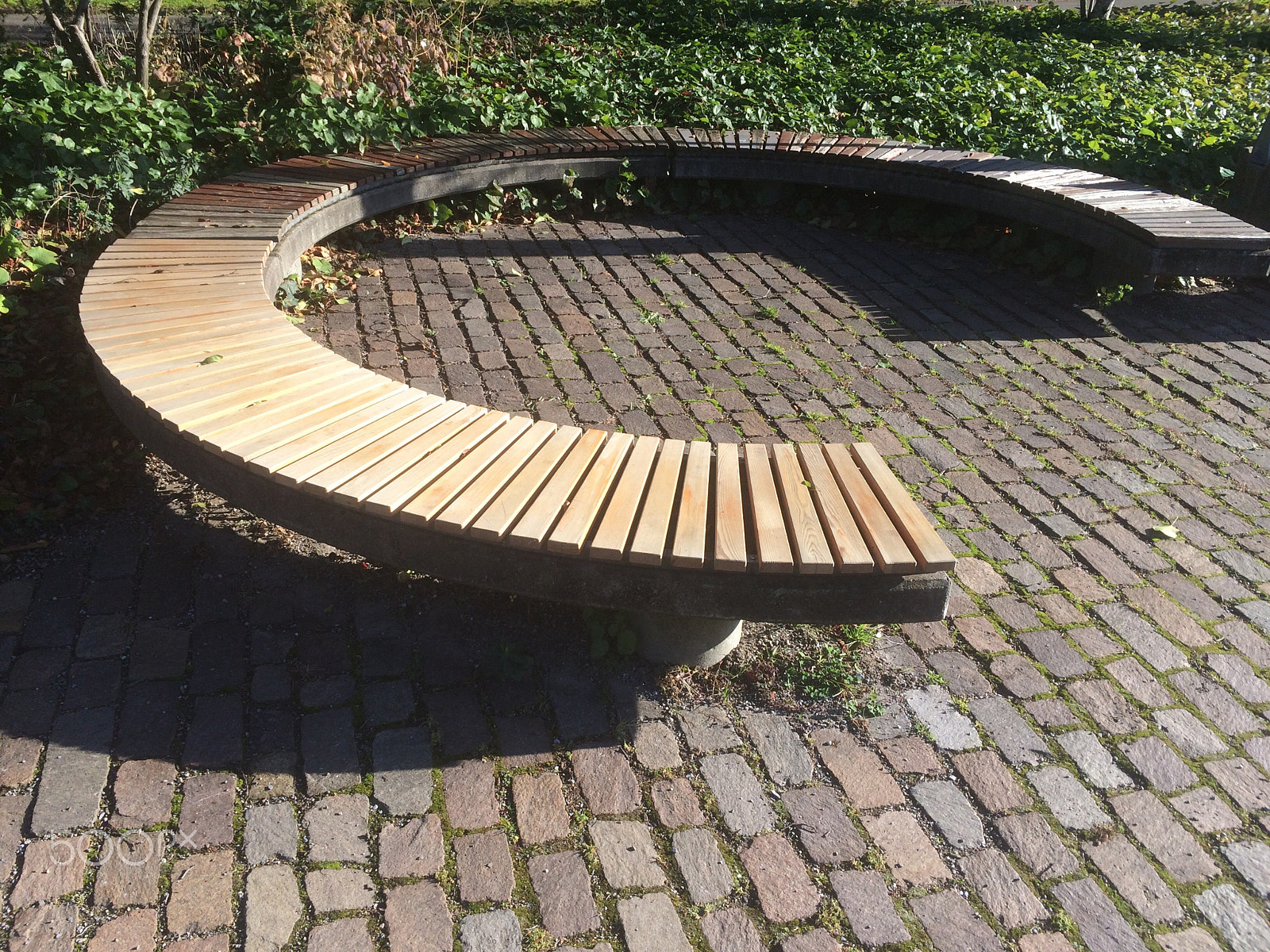 Hipstamatic 304 sample photo. Sitting curvy wooden bench in a garden photography