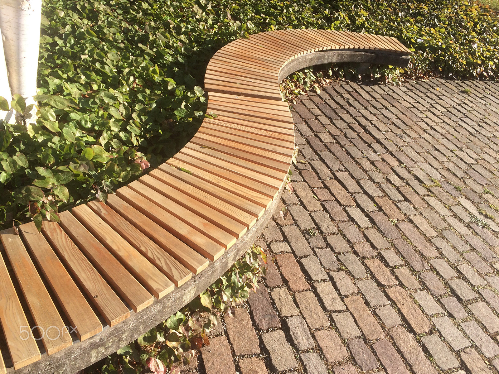 Hipstamatic 304 sample photo. Sitting curvy wooden bench in a garden photography
