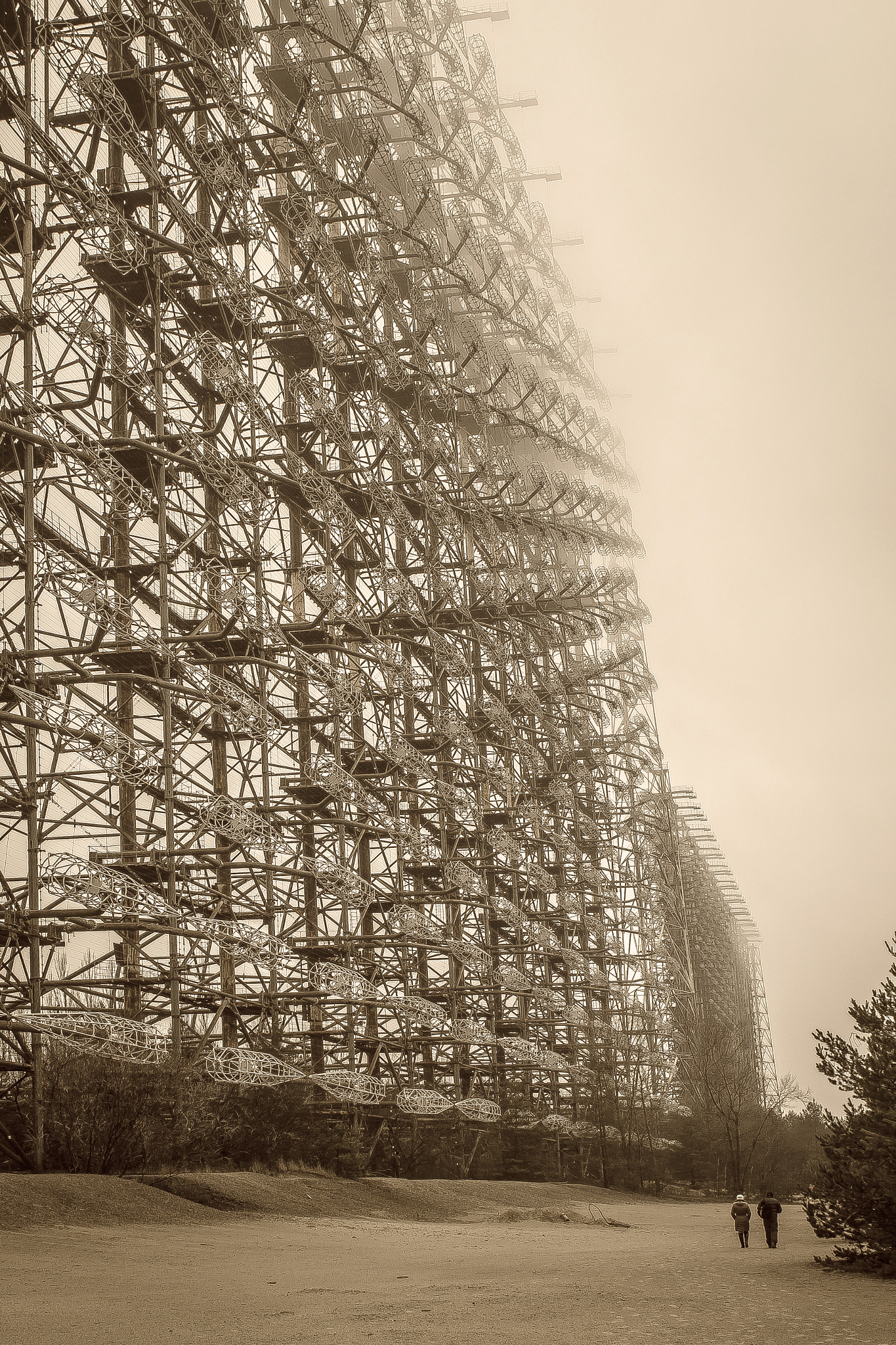 Canon EF 24mm F2.8 IS USM sample photo. The russian woodpecker photography