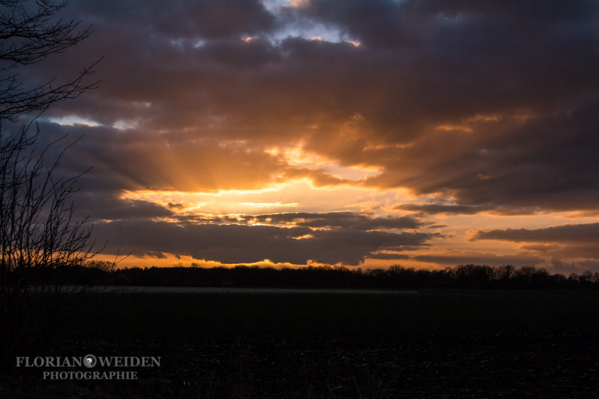 Canon EF 28-300mm F3.5-5.6L IS USM sample photo. Strahlender himmel photography