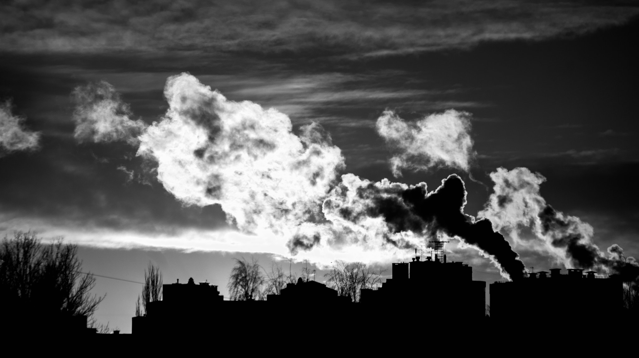 Schneider D-XENON 50-200mm F4-5.6 sample photo. B&w photography