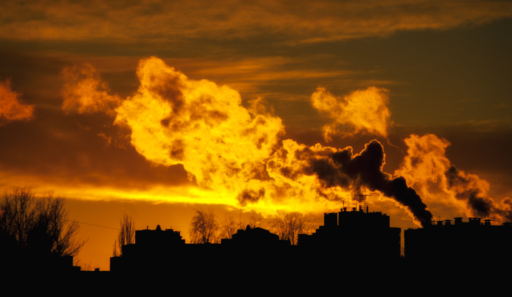 Schneider D-XENON 50-200mm F4-5.6 sample photo. The sunset(夕日) photography