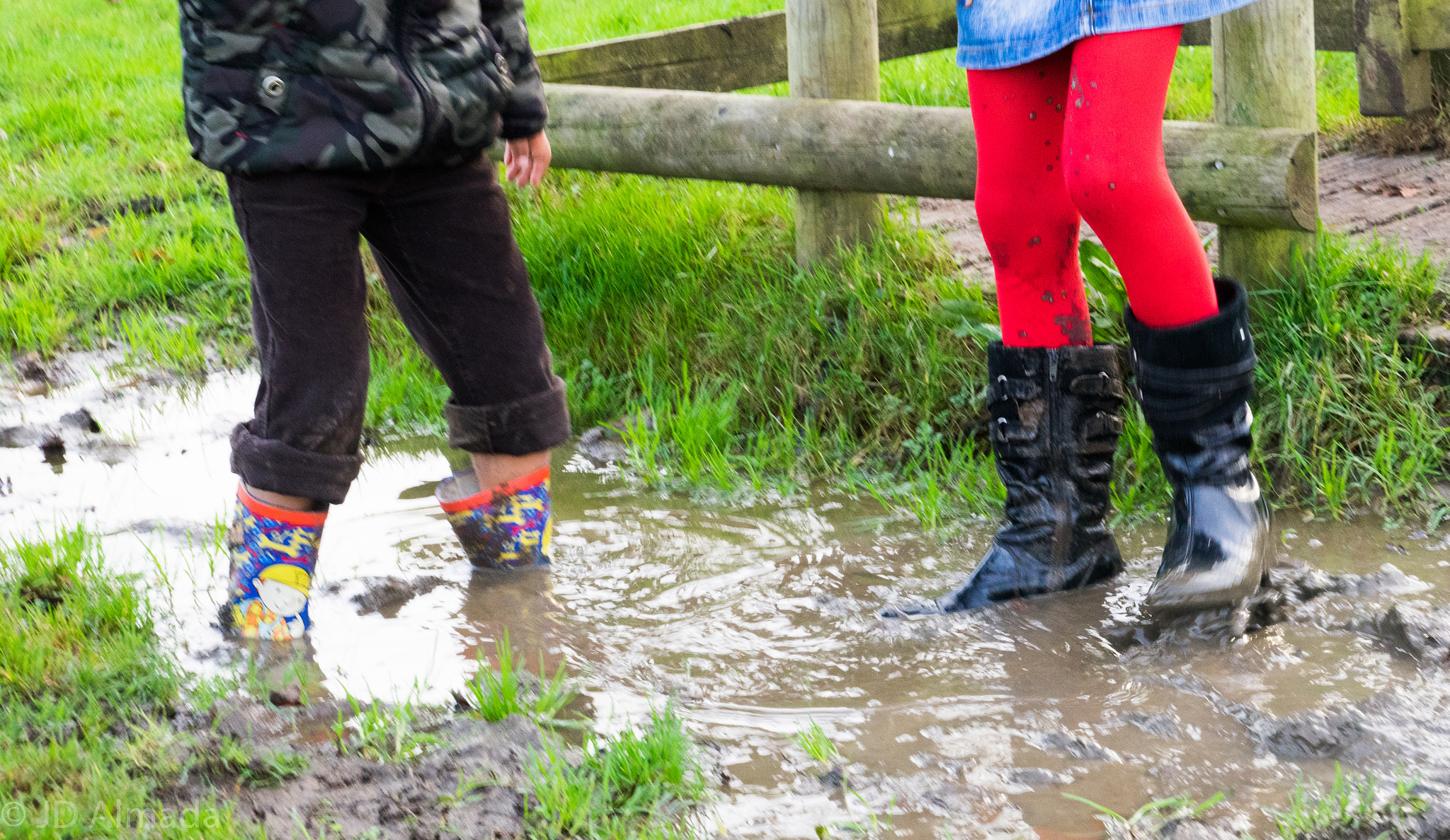 Sony Vario-Sonnar T* 24-70mm F2.8 ZA SSM II sample photo. All we need is mud! photography