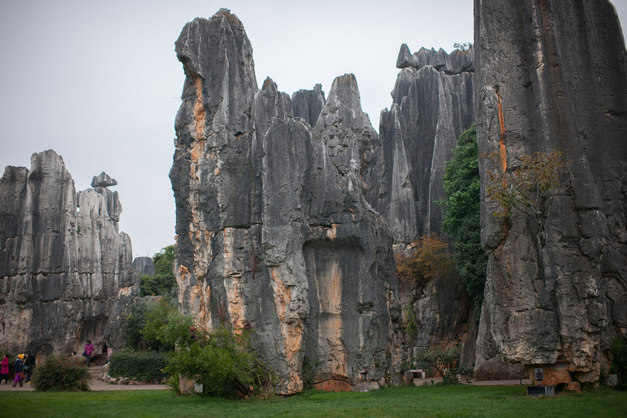 Nikon D3X + Nikon AF-S Nikkor 35mm F1.4G sample photo. Stone forest photography