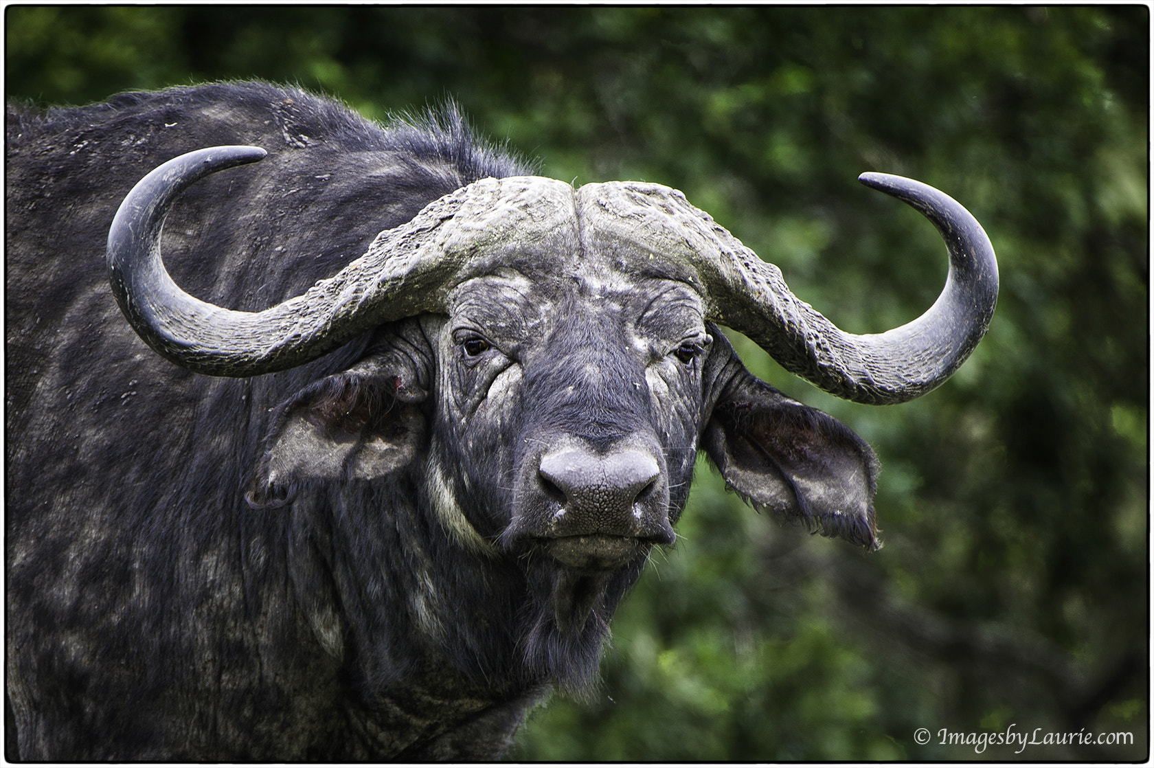 Nikon D3S sample photo. Don't mess with me! photography