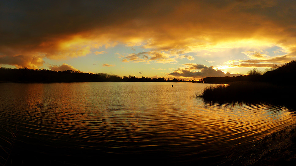 Panasonic DMC-ZX1 sample photo. Gold pond photography
