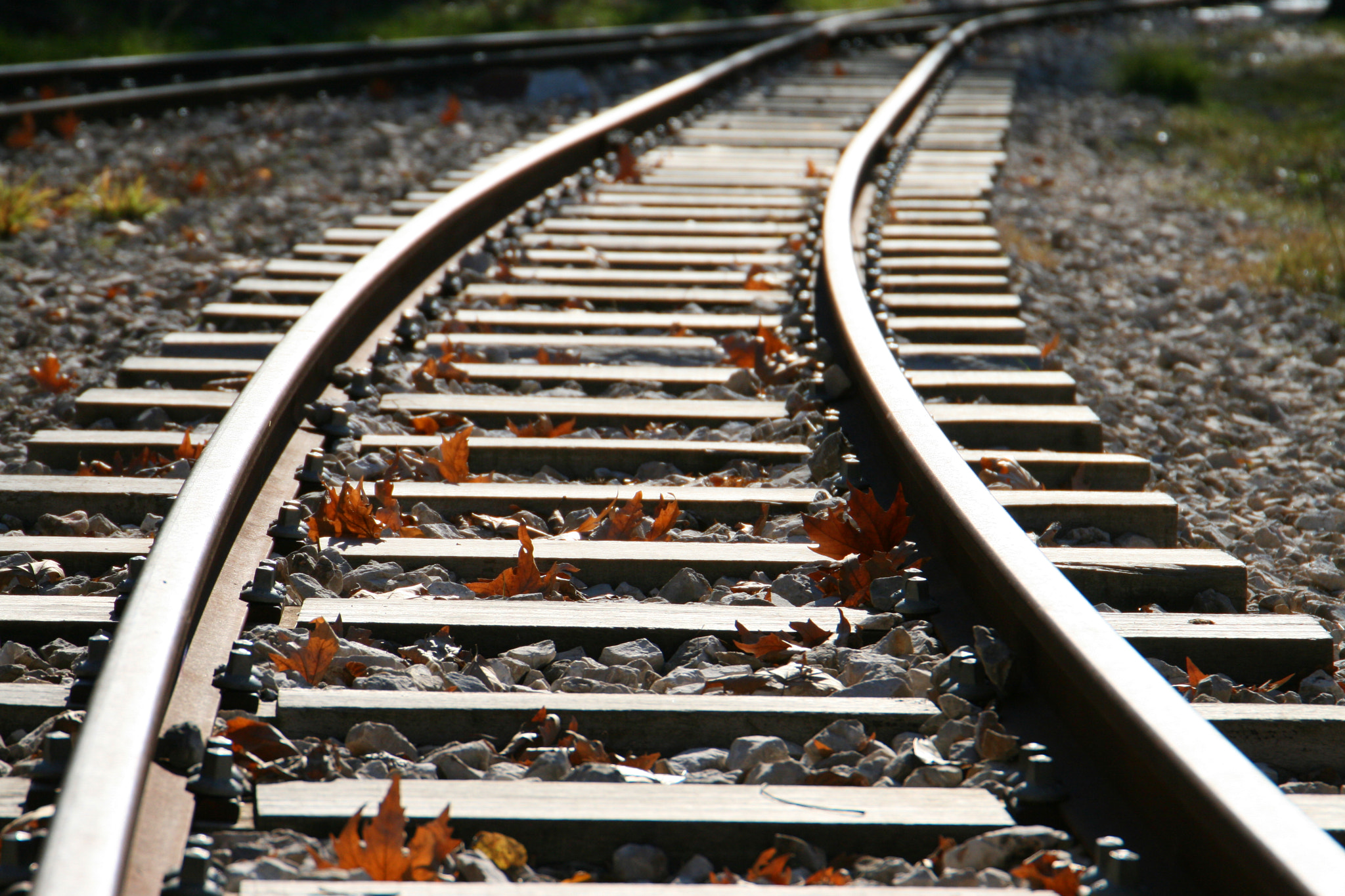Canon EF 24-105mm F3.5-5.6 IS STM sample photo. Train rails and leaves photography