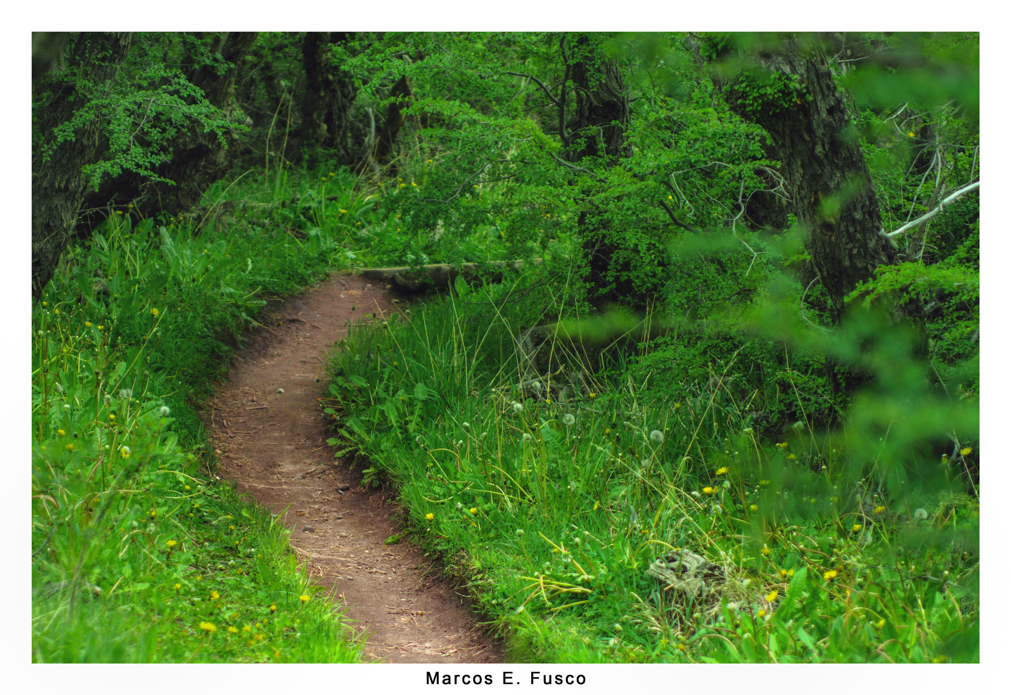Nikon D7100 + AF Zoom-Nikkor 35-70mm f/2.8D sample photo. Sendero ii photography