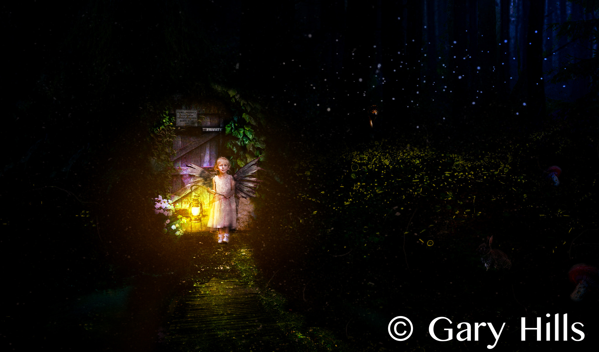 Olympus Zuiko Digital ED 40-150mm F4.0-5.6 sample photo. Fairy night walk photography