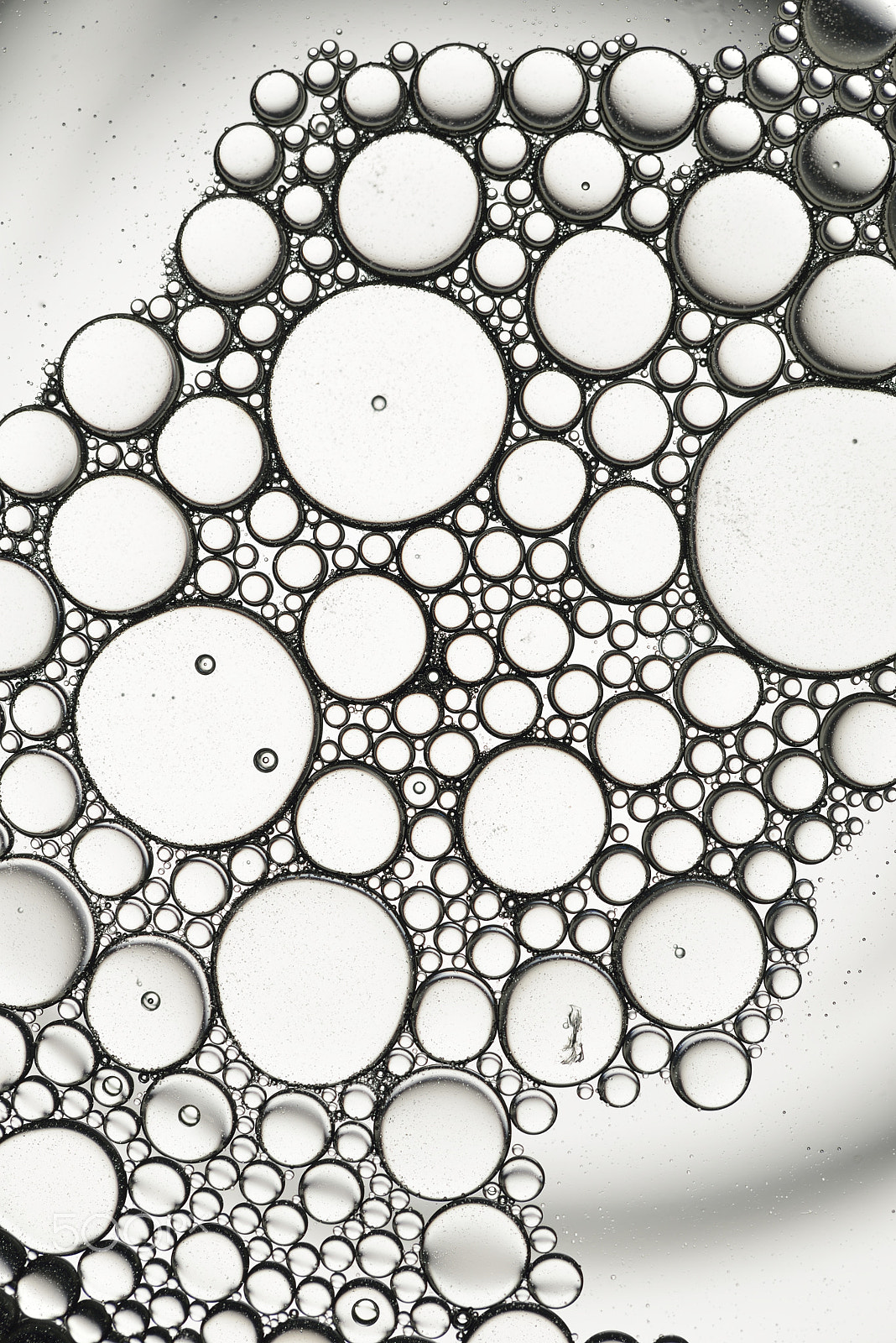Sigma 150mm F2.8 EX DG Macro HSM sample photo. Bubbles in black____ photography