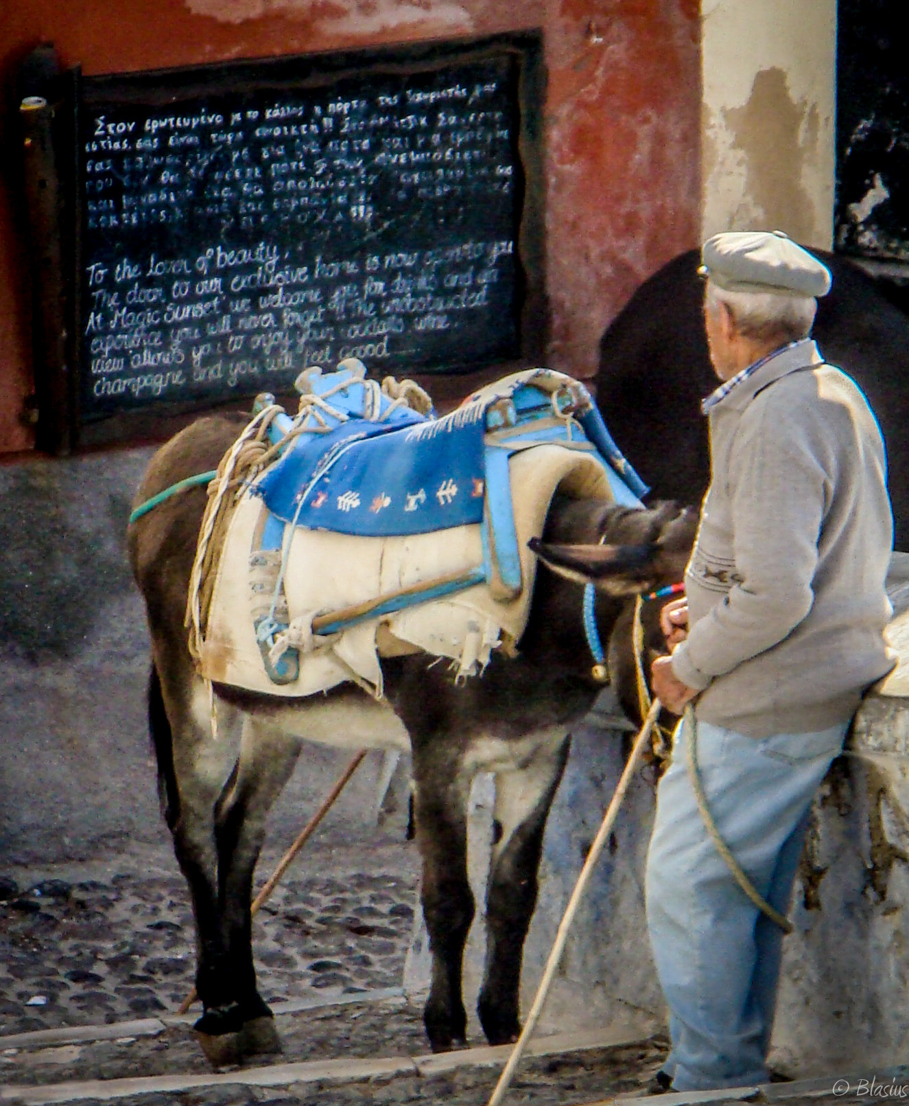 Sony DSC-T100 sample photo. Donkey driver - fira photography