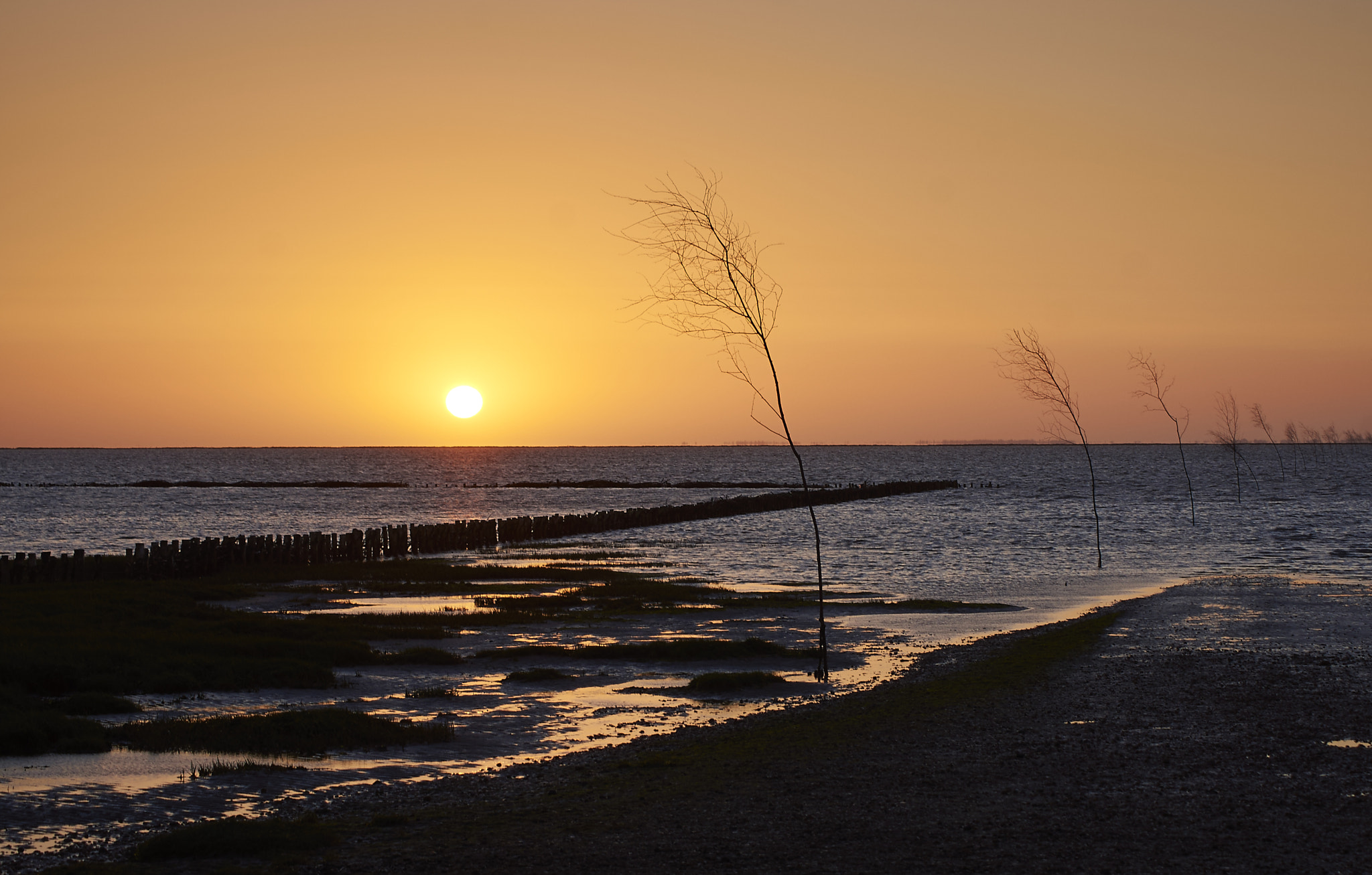 Sony SLT-A77 + Sony DT 55-200mm F4-5.6 SAM sample photo. Mandø ebbevej photography