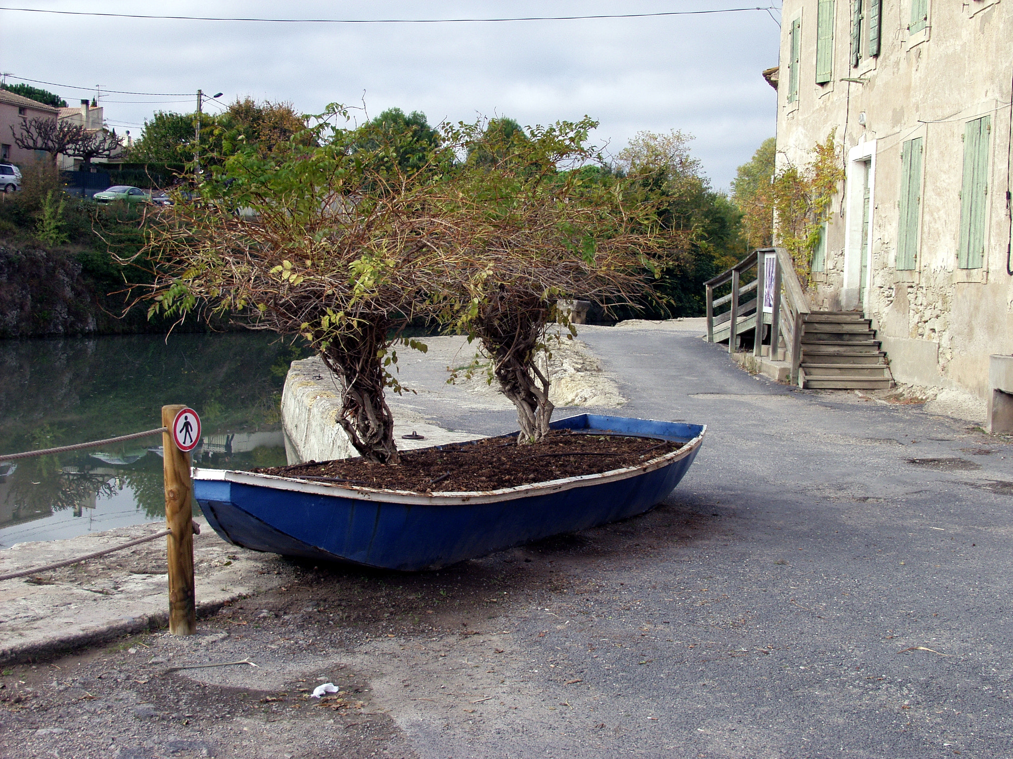Olympus E-20,E-20N,E-20P sample photo. Boat with trees photography