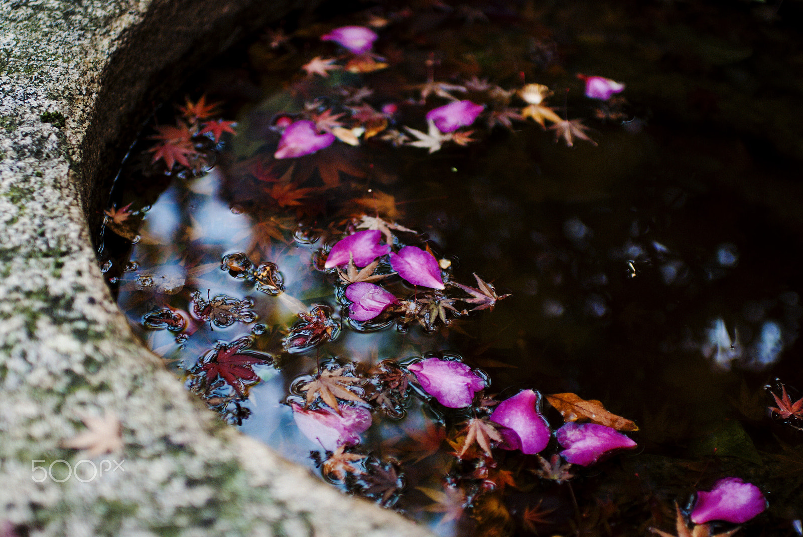 Nikon D40X + Nikon AF-S Nikkor 35mm F1.4G sample photo. The end of year photography