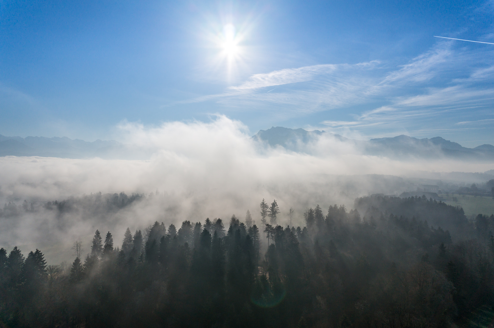 Sony Alpha NEX-5T + Sony E 16mm F2.8 sample photo. Fog above forest photography