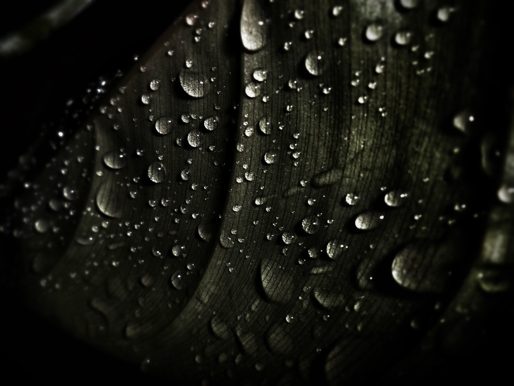 Samsung PL20,PL21 / VLUU PL20,PL21 sample photo. Rain drops photography